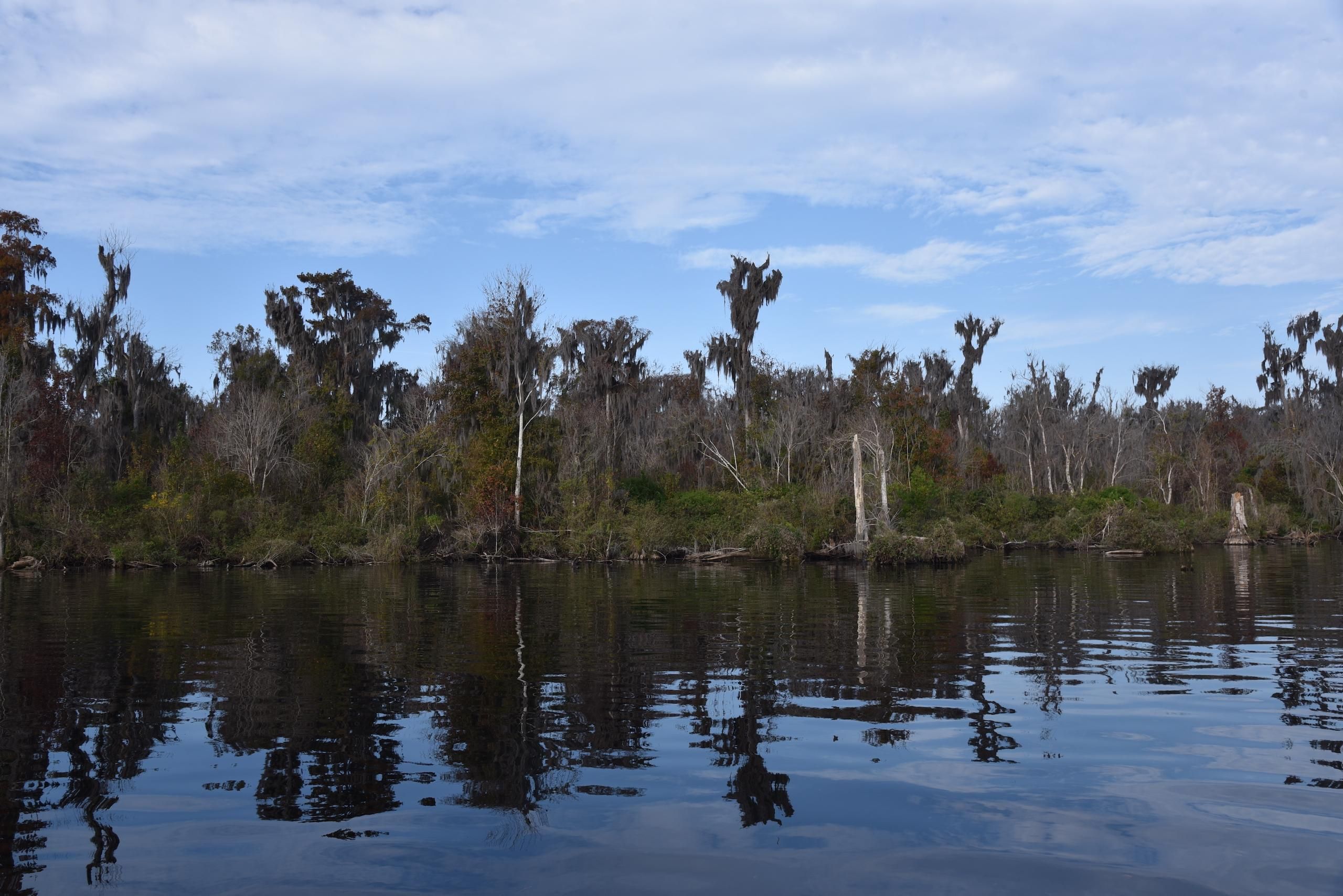 Crescent City, Putnam County, FL Timberland Property, Hunting Property