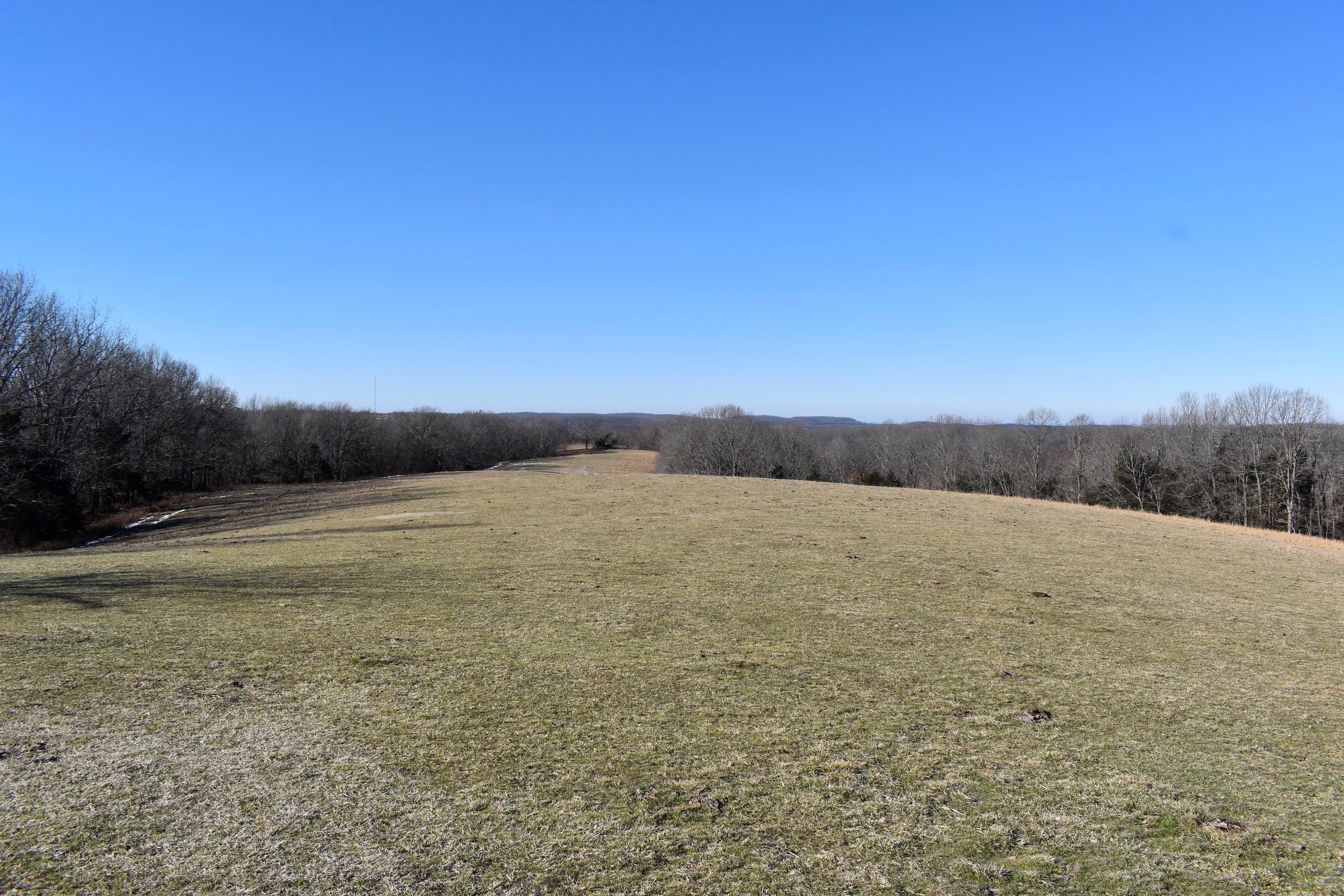 Rueter, Taney County, MO Recreational Property, Timberland Property