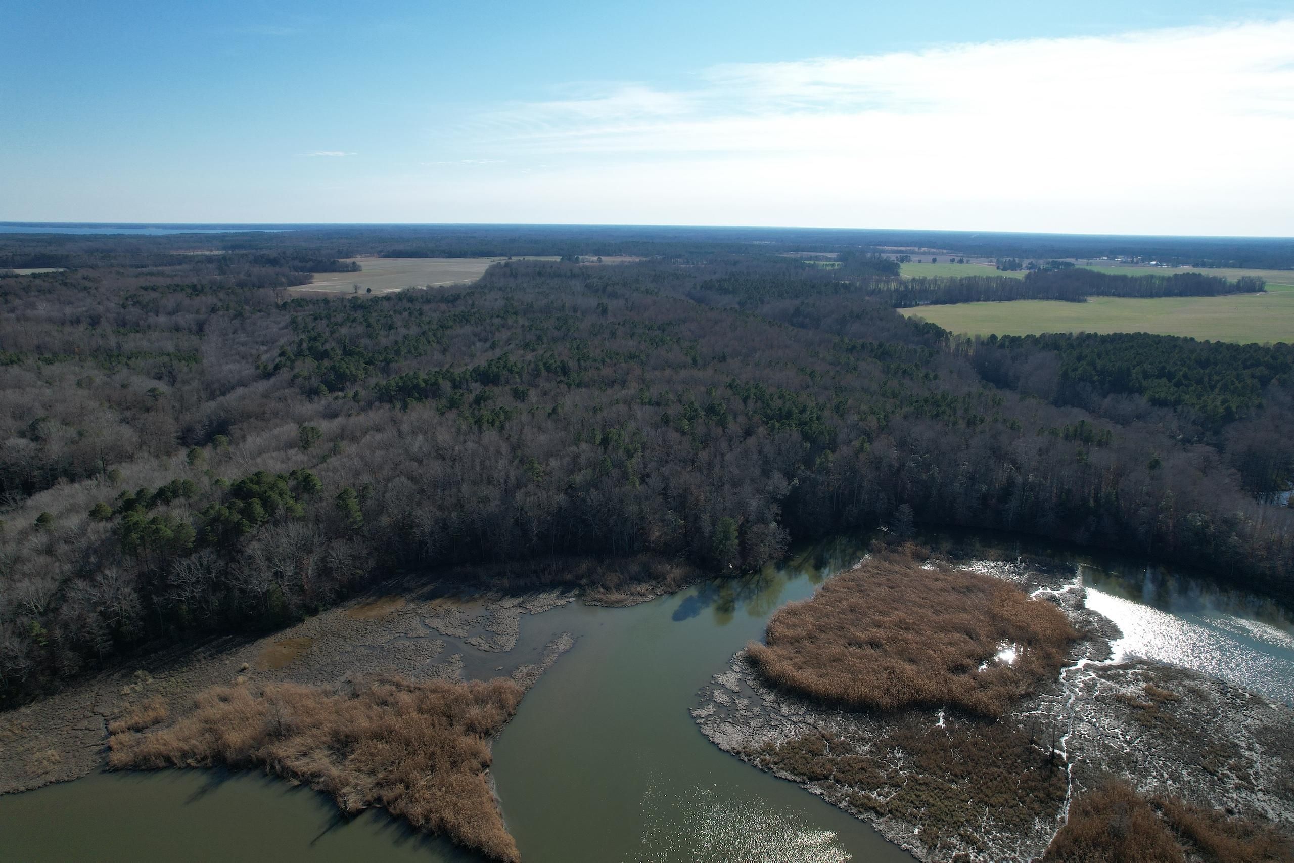 Surry, Surry County, VA Recreational Property, Timberland Property