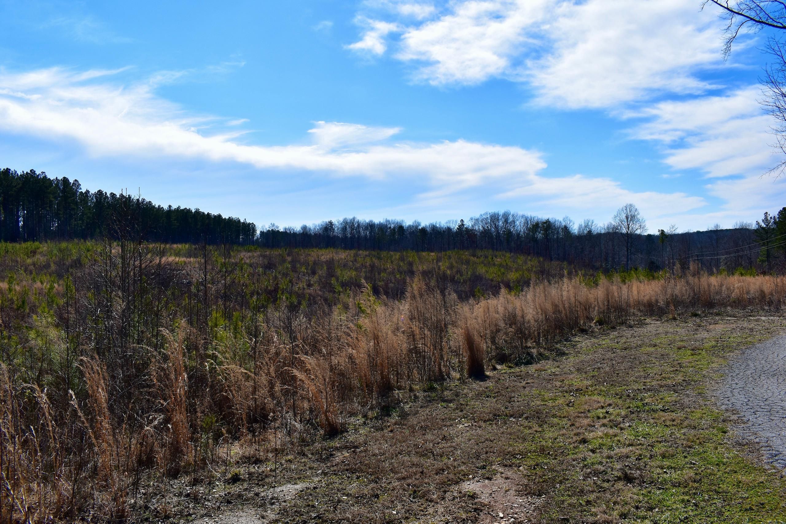 Blacksburg, Cherokee County, SC Recreational Property, Timberland