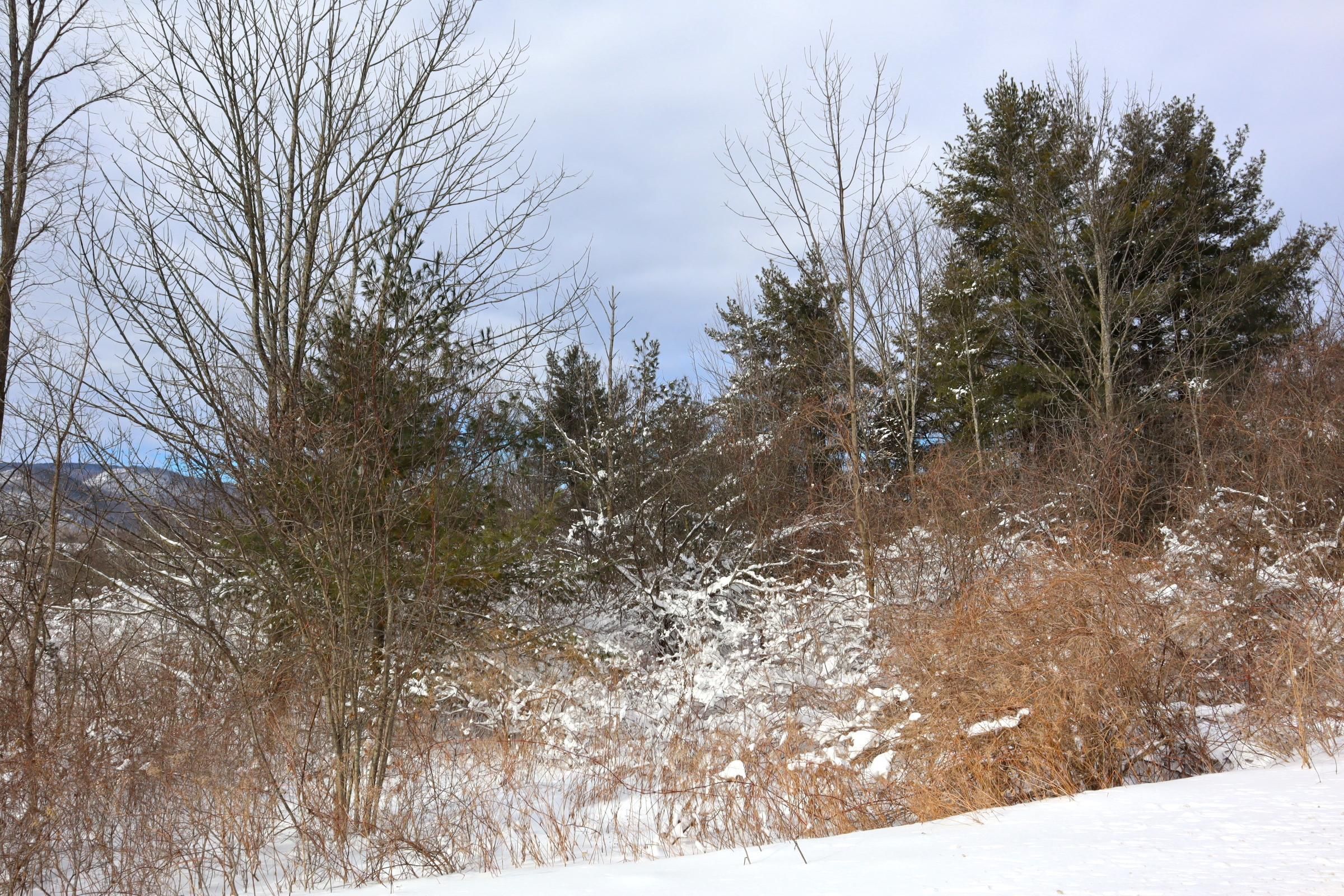 Ticonderoga, Essex County, NY Recreational Property, Undeveloped Land