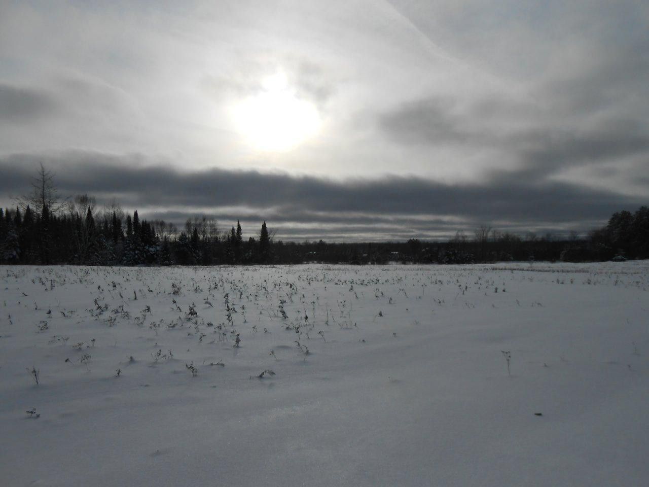 Phillips, Price County, WI Undeveloped Land for sale Property ID