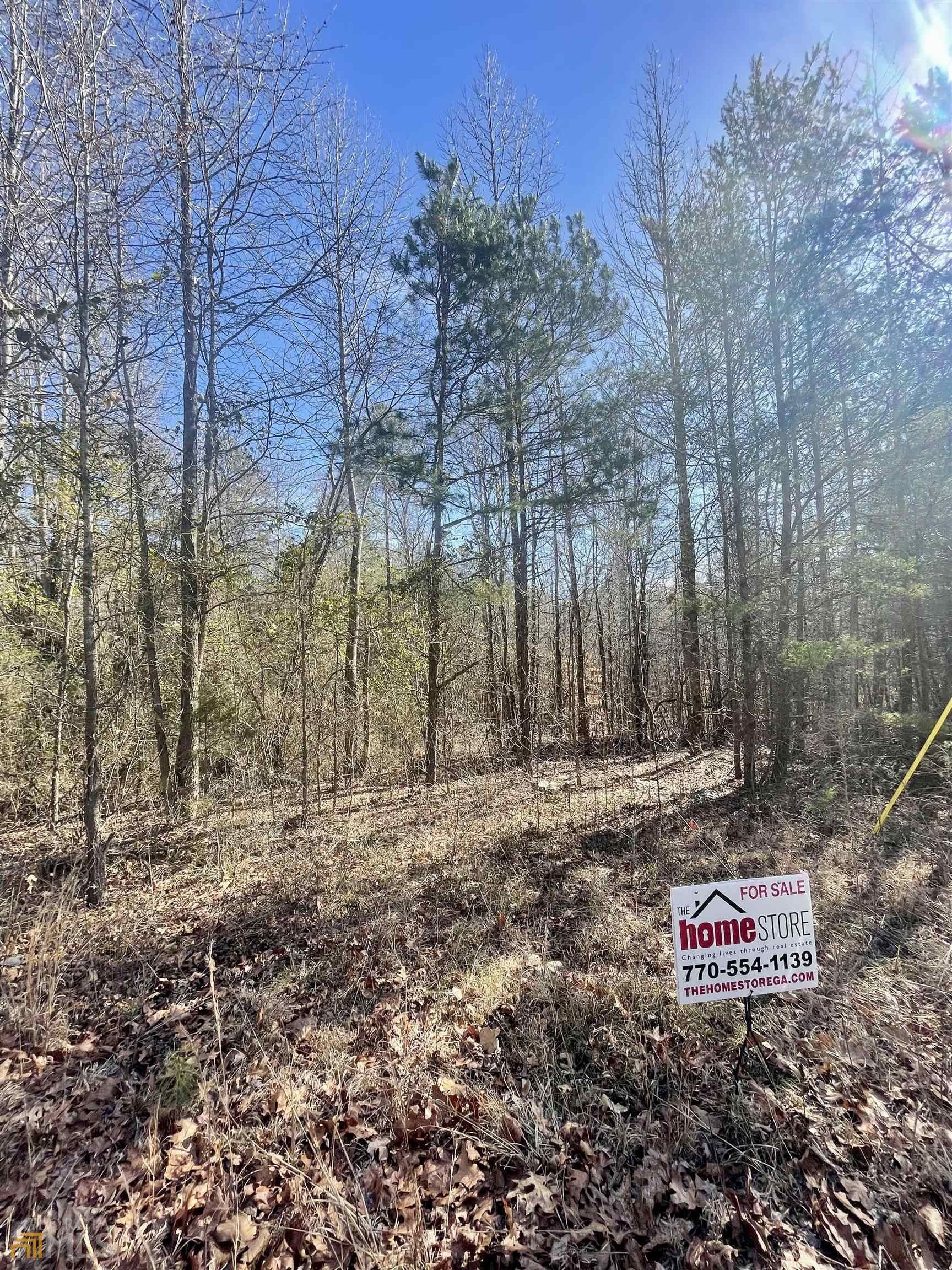 Toccoa, Franklin County, GA Undeveloped Land for sale Property ID
