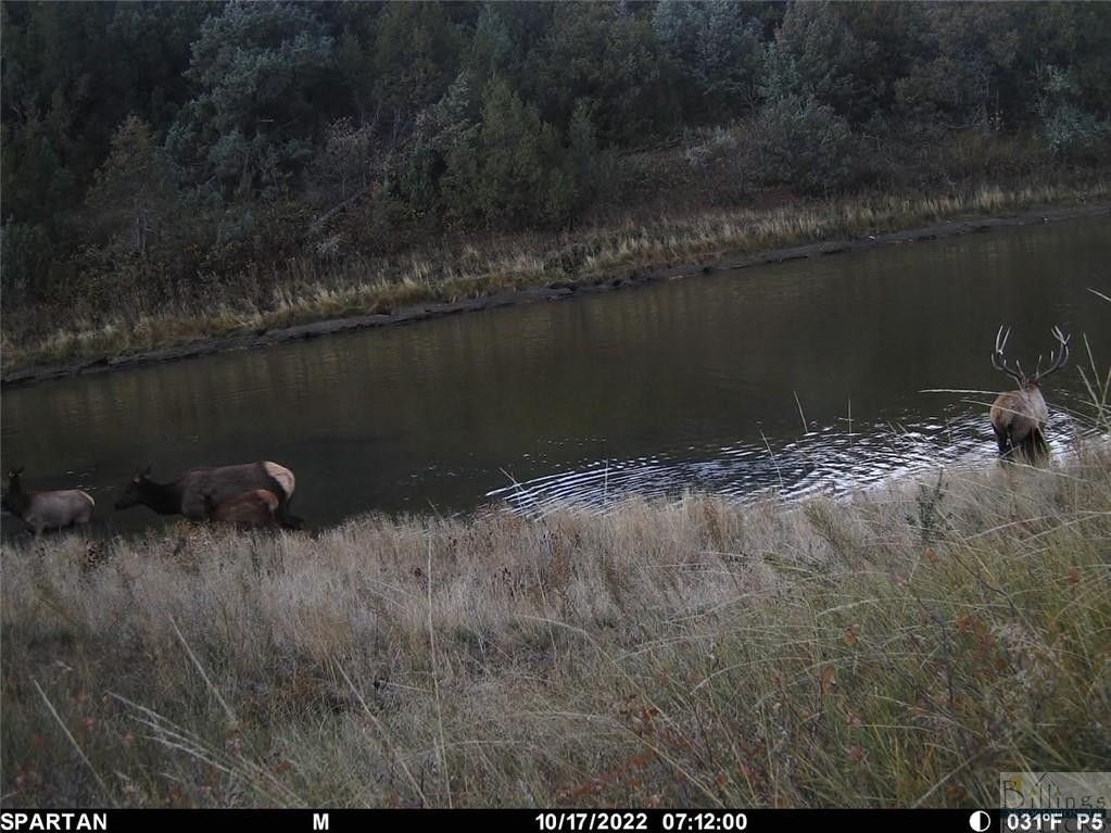 Glendive, Wibaux County, MT Farms and Ranches, House for sale Property