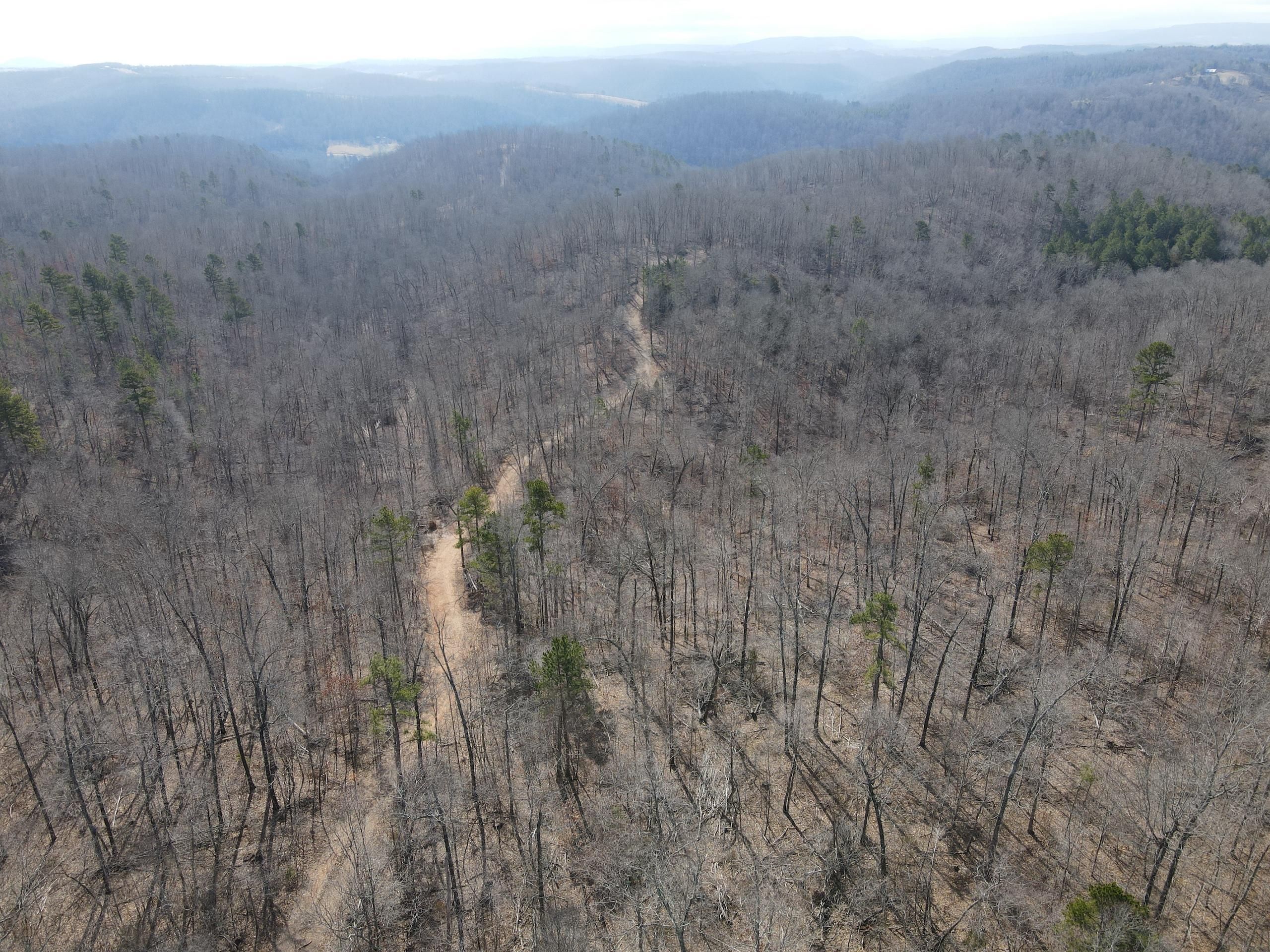 CR 156, LotWP001, Cozahome, AR 72639 LandWatch