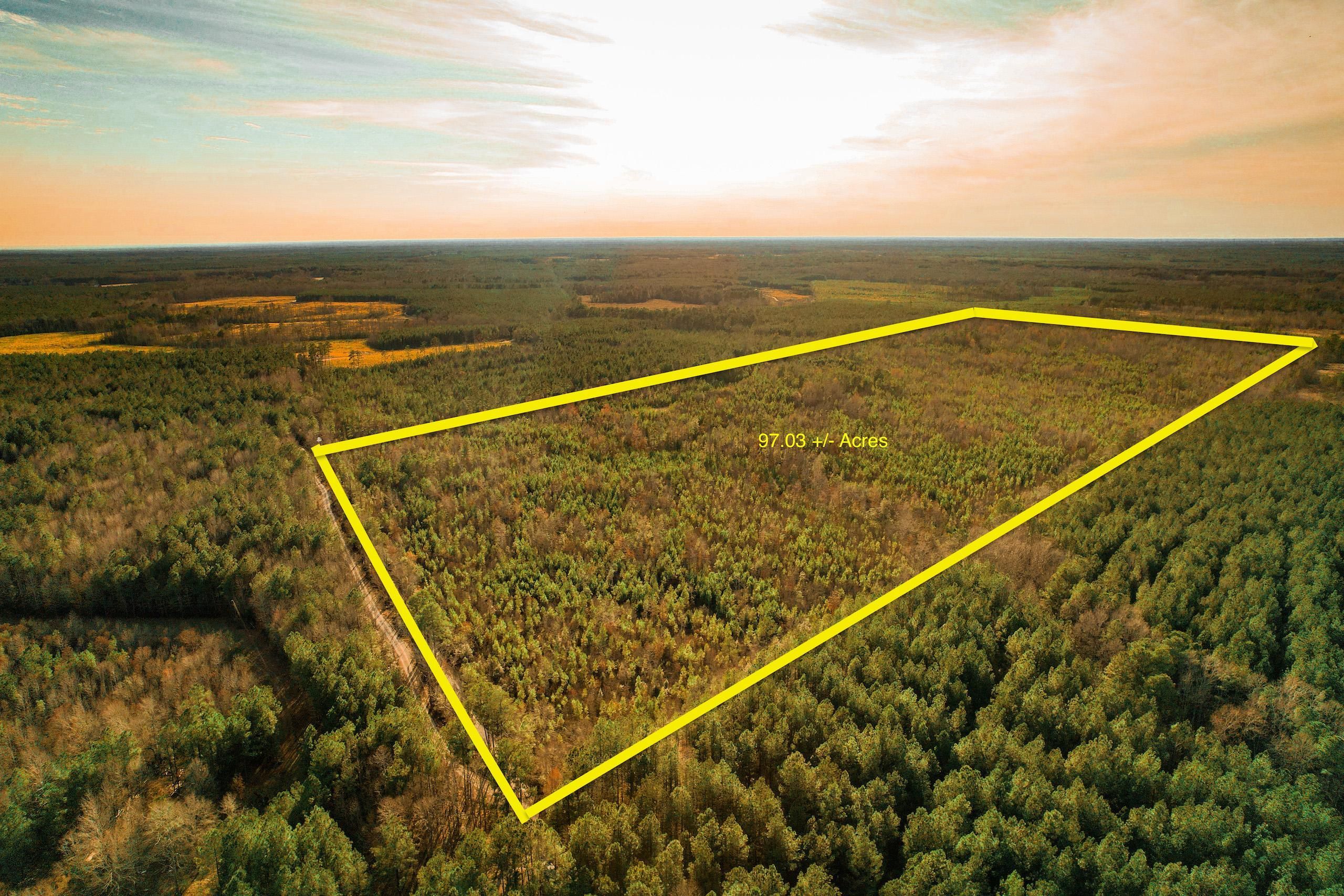 Disputanta, Prince County, VA Recreational Property, Timberland