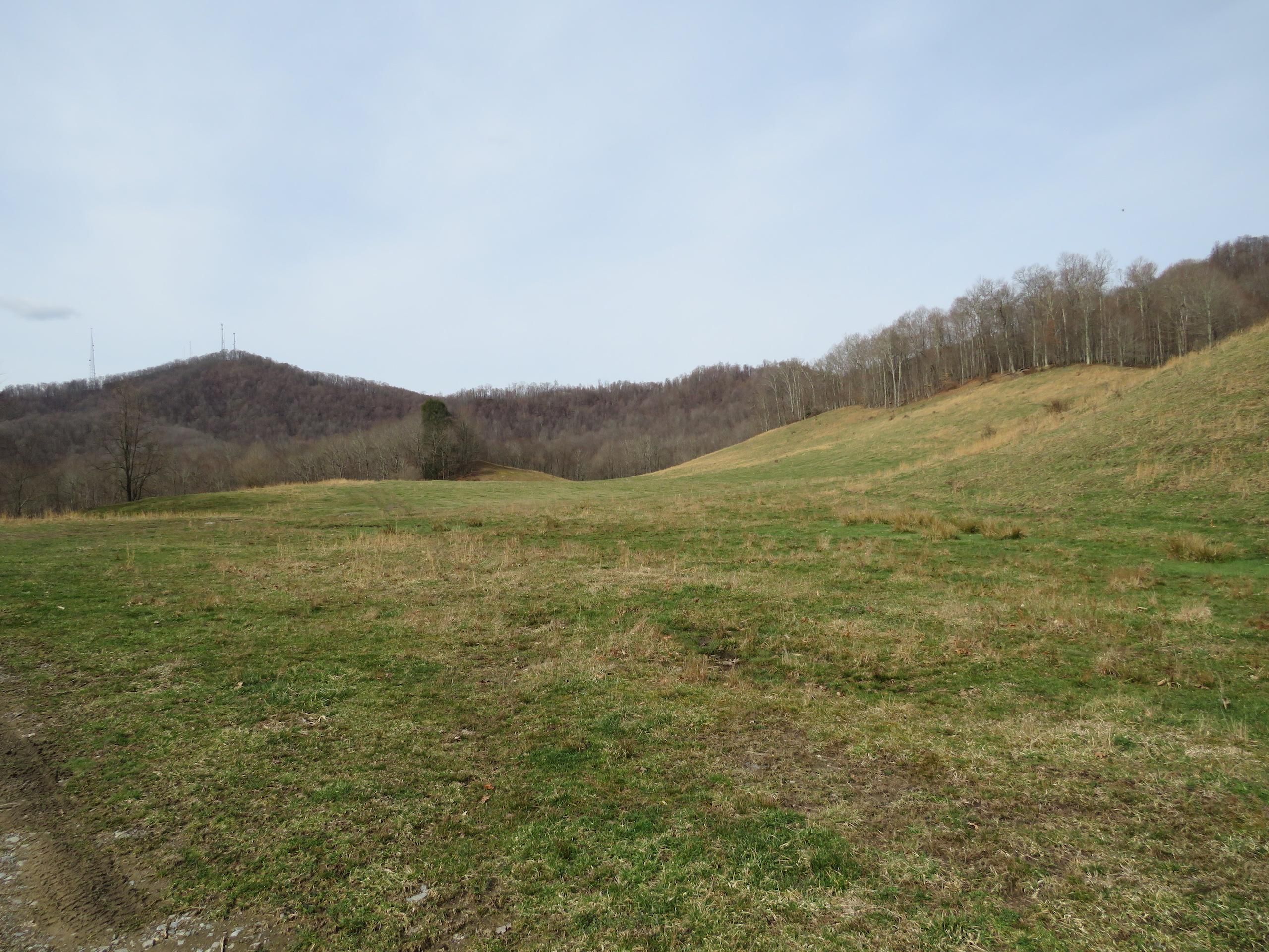 Sugar Camp Road, Craigsville, WV 62608 LandWatch