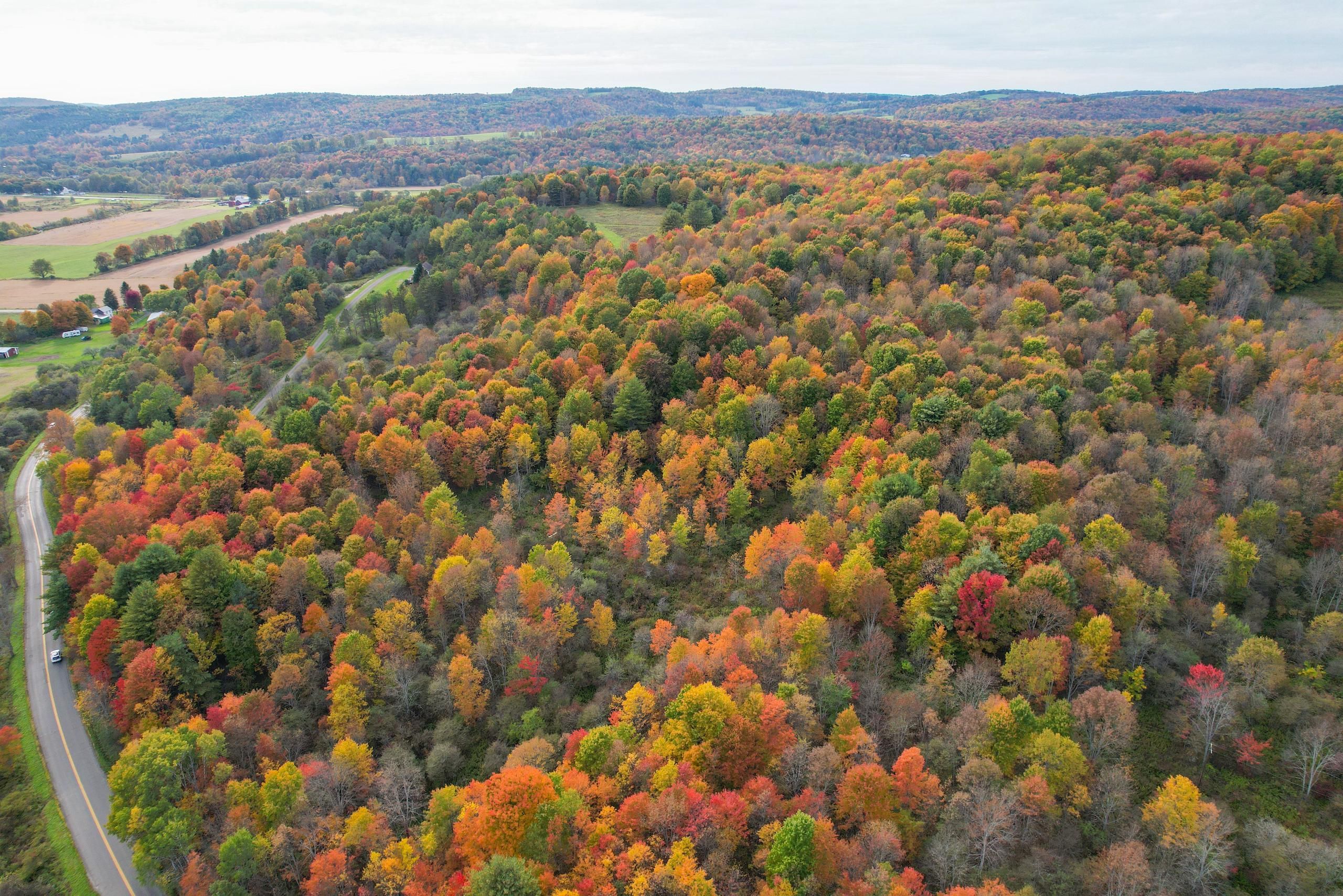 Newark Valley, Tioga County, NY Recreational Property, Timberland