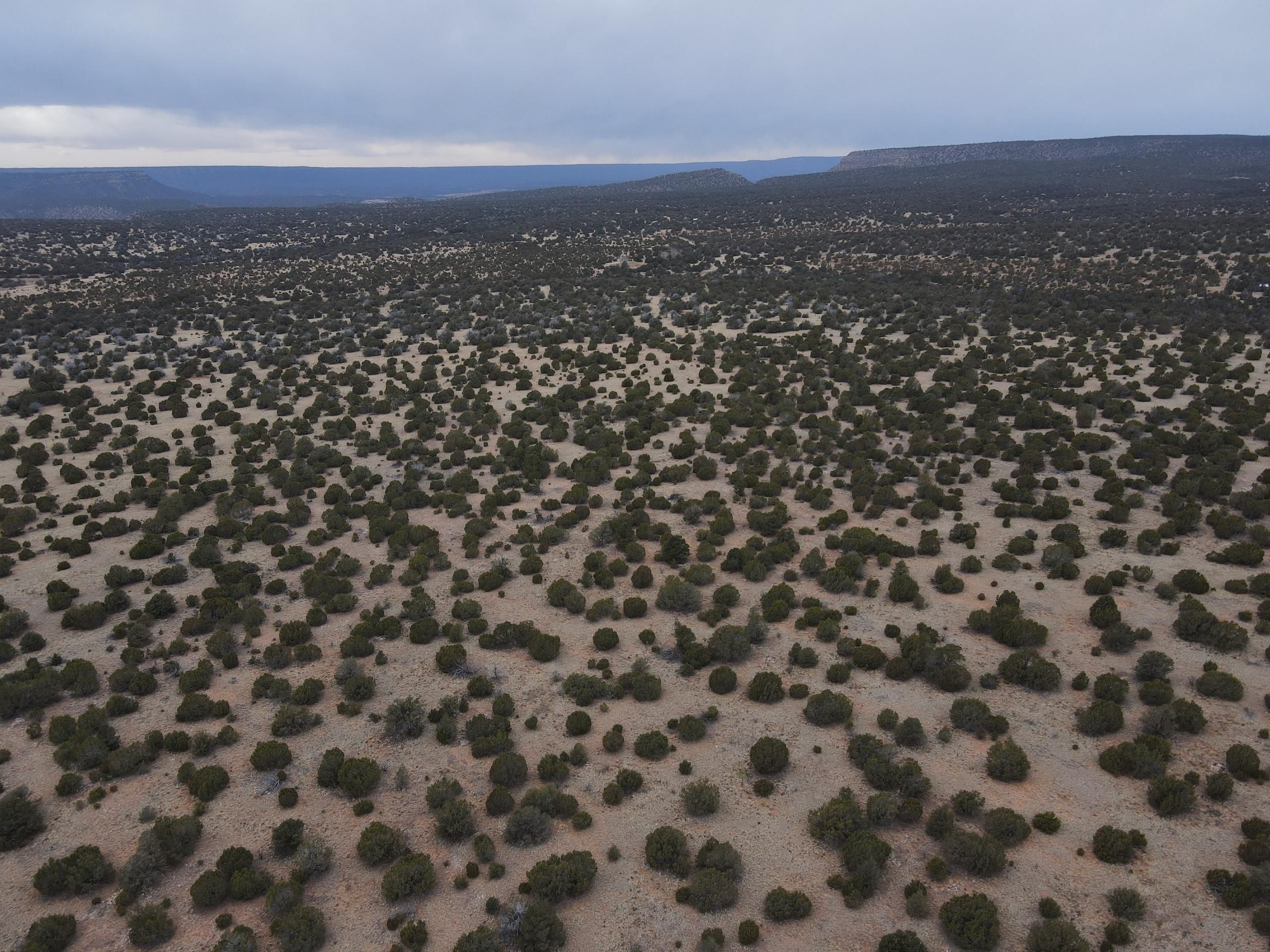 Villanueva, San Miguel County, NM Farms and Ranches, Hunting Property