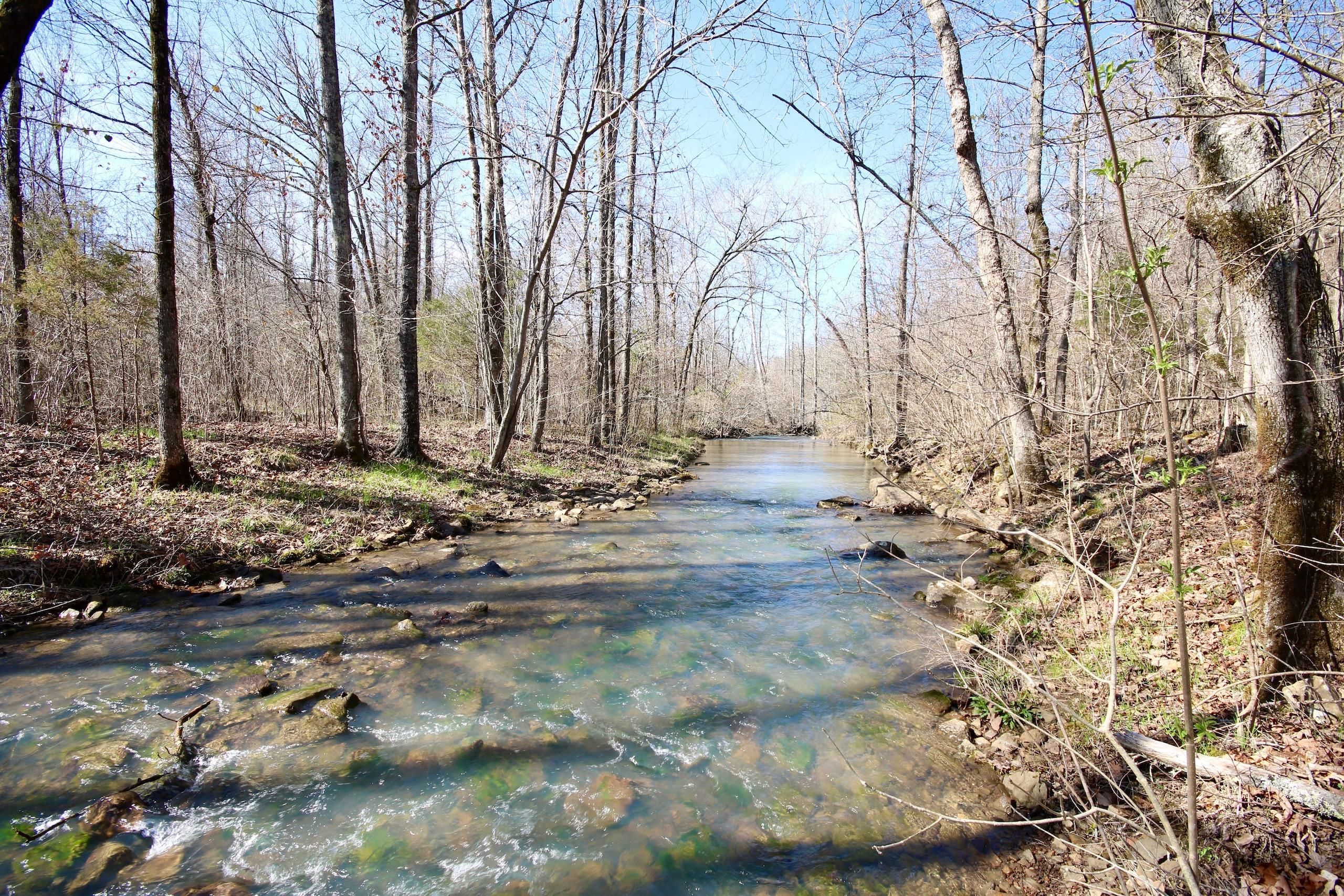 Elkins, Madison County, AR Recreational Property, Timberland Property