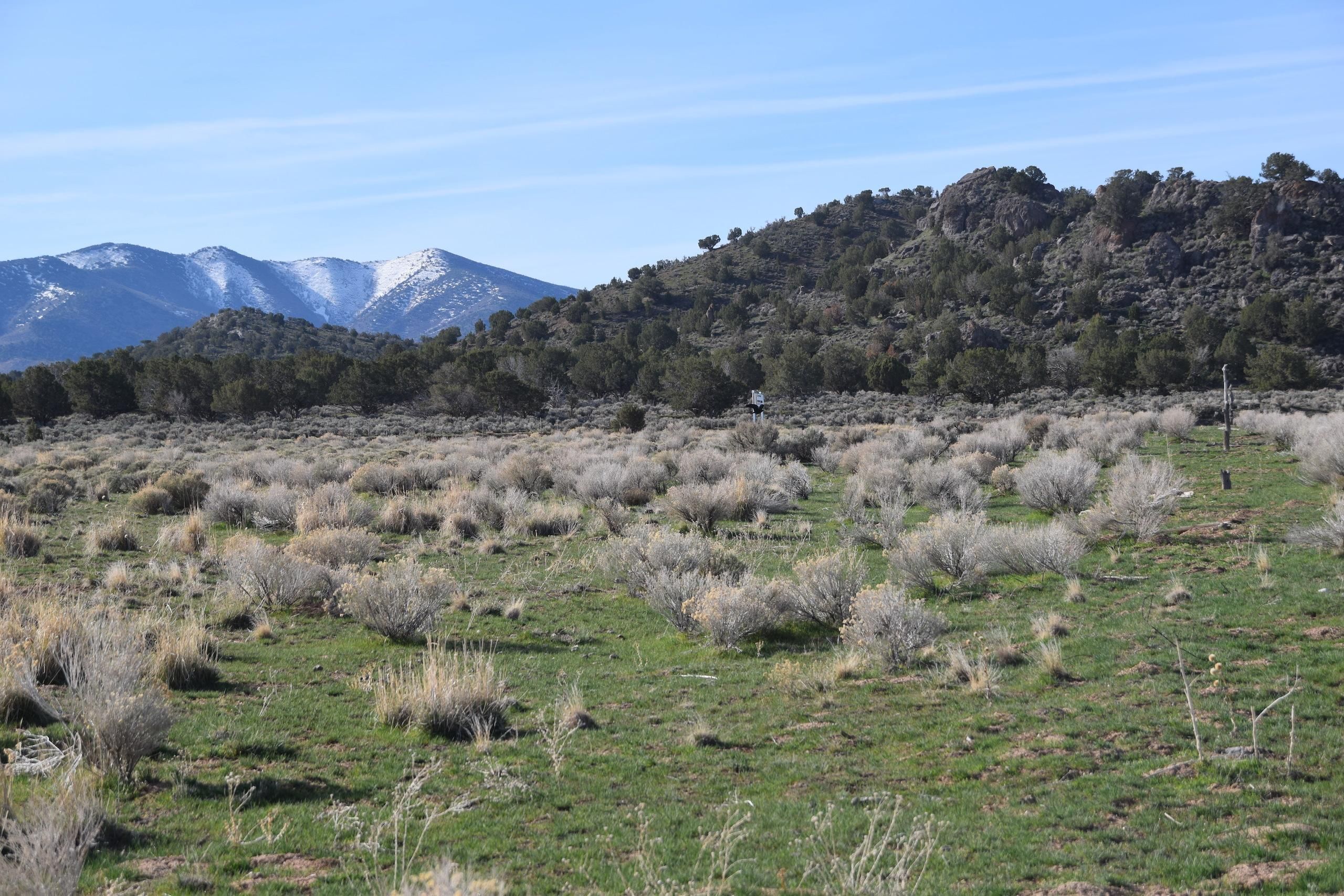 County Road 1, Lot WP001, Kanosh, UT 84637 LandWatch