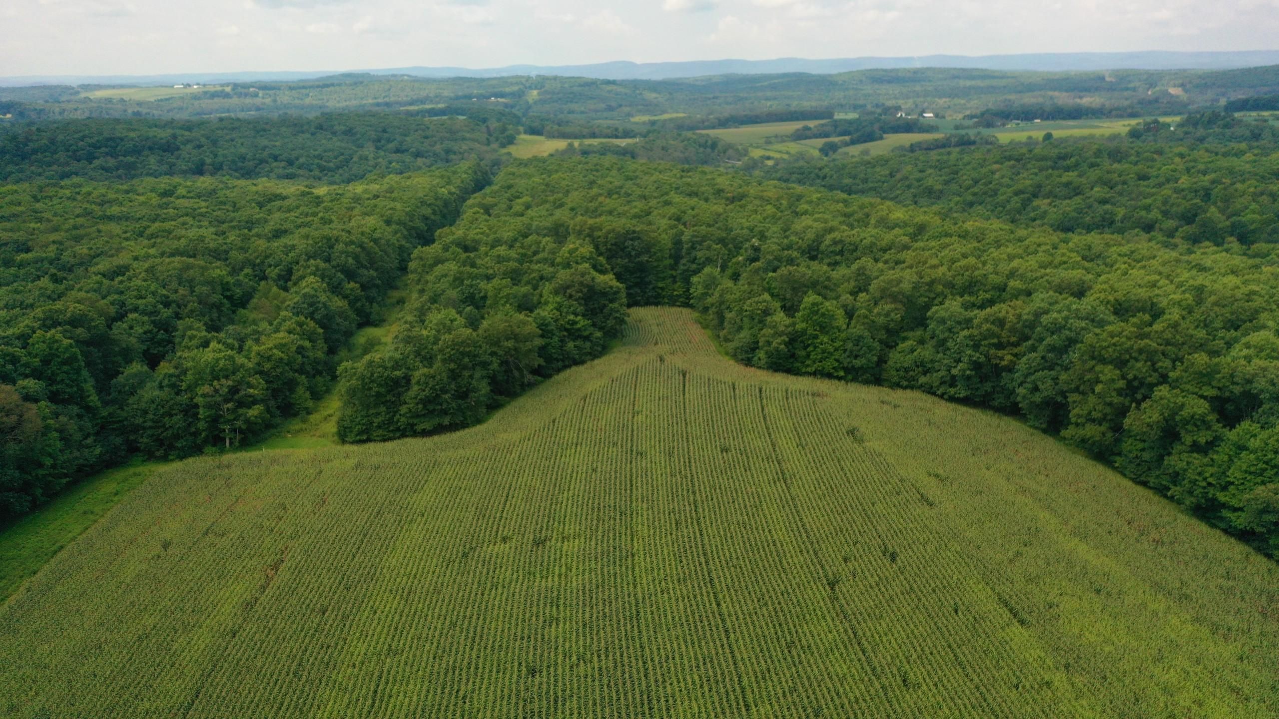 Markleysburg, Fayette County, PA Recreational Property, Timberland