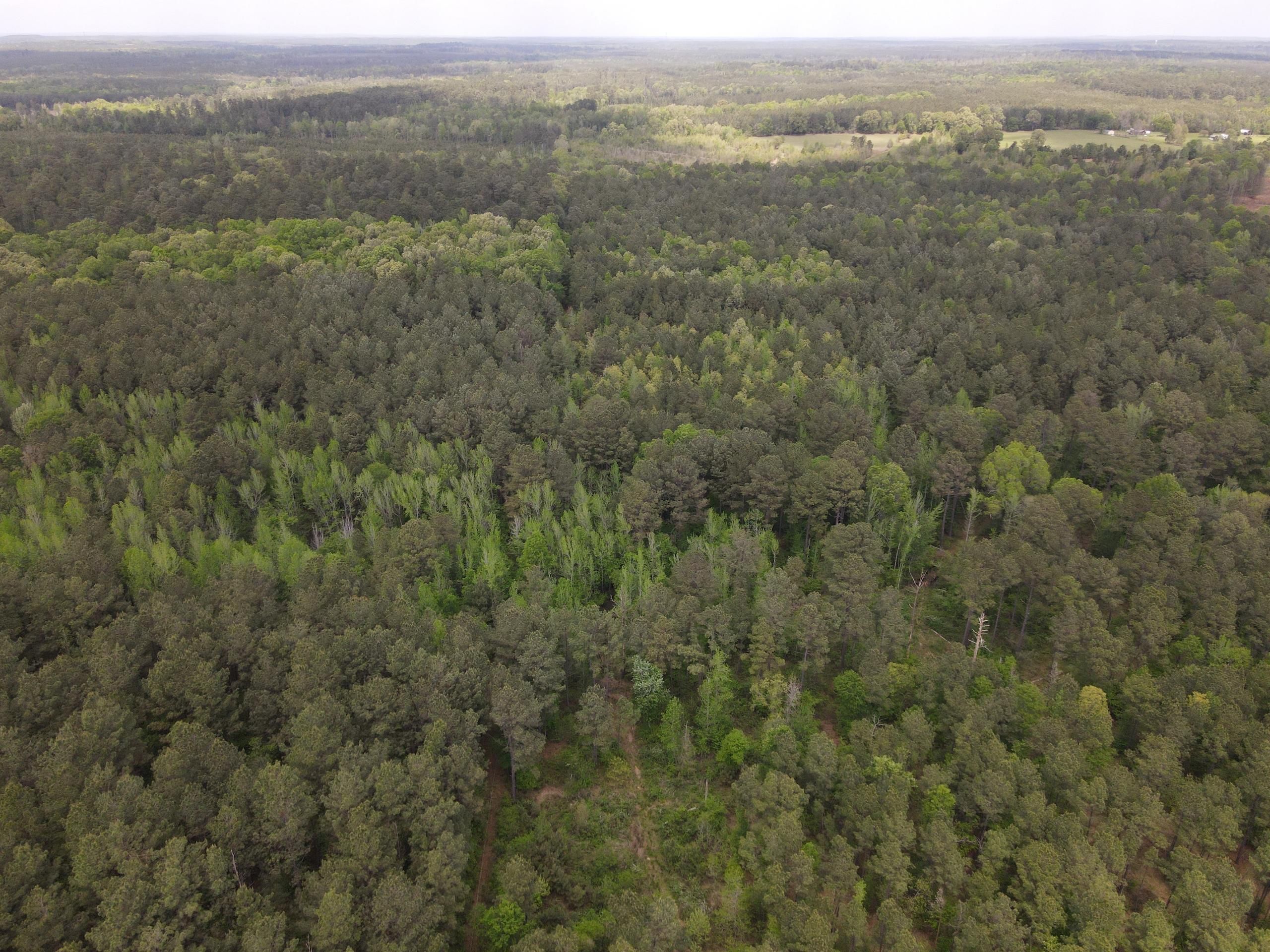 Nevada 124, Rosston, AR 71858 LandWatch