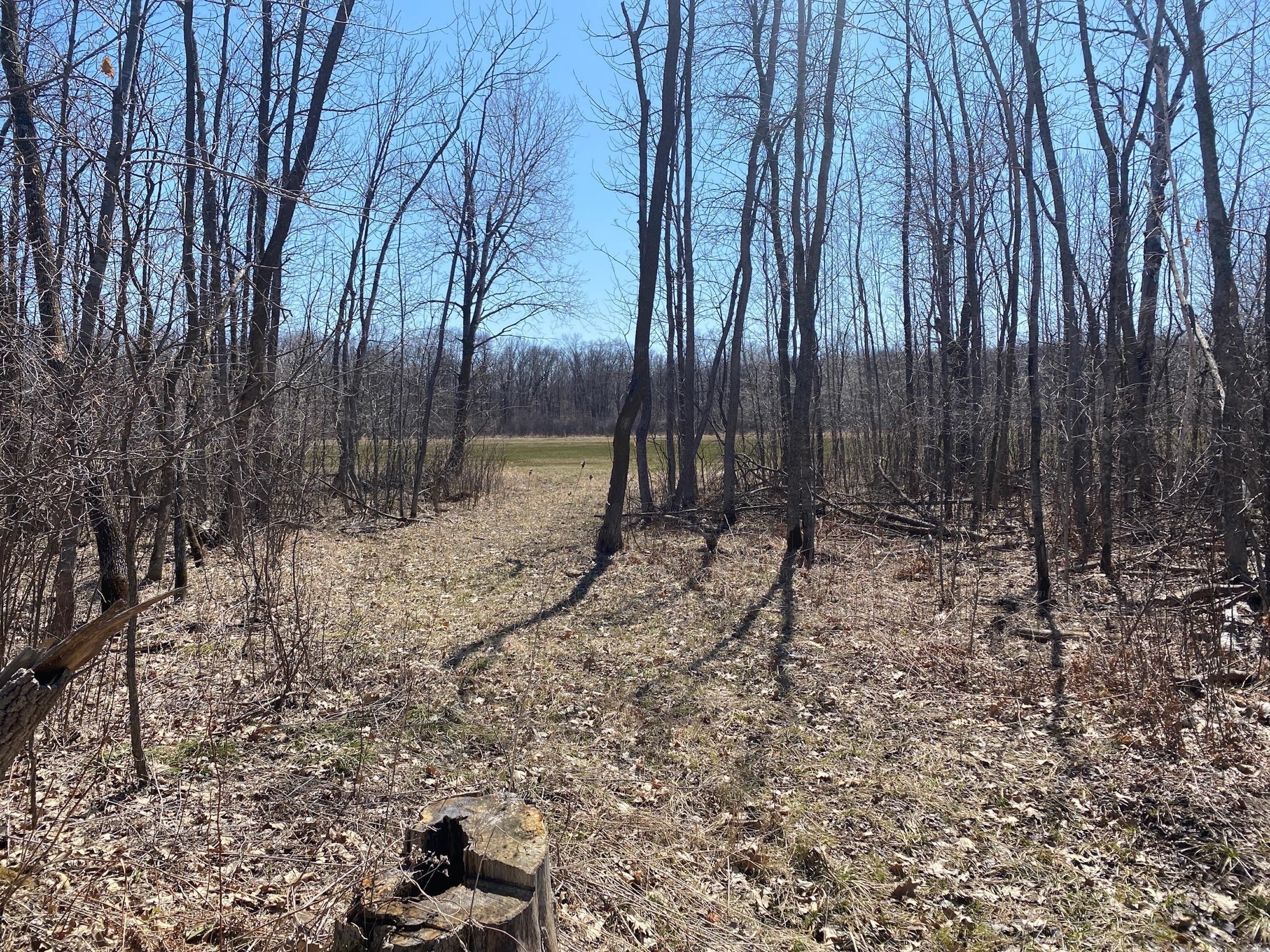 Pierz, Morrison County, MN Recreational Property, Hunting Property for