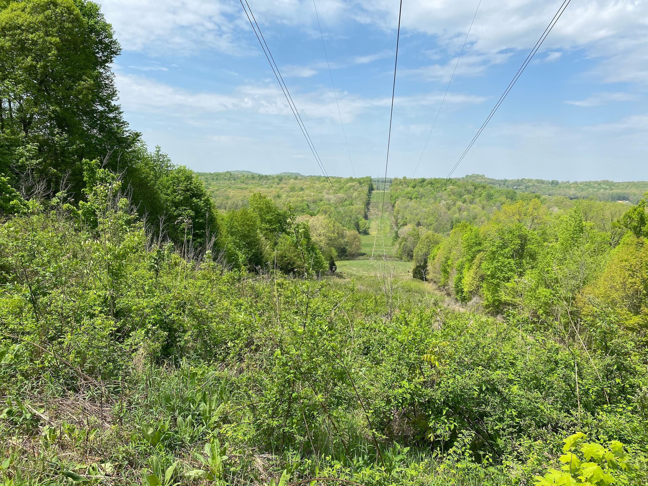 Butler County, KY Recreational Property, Timberland