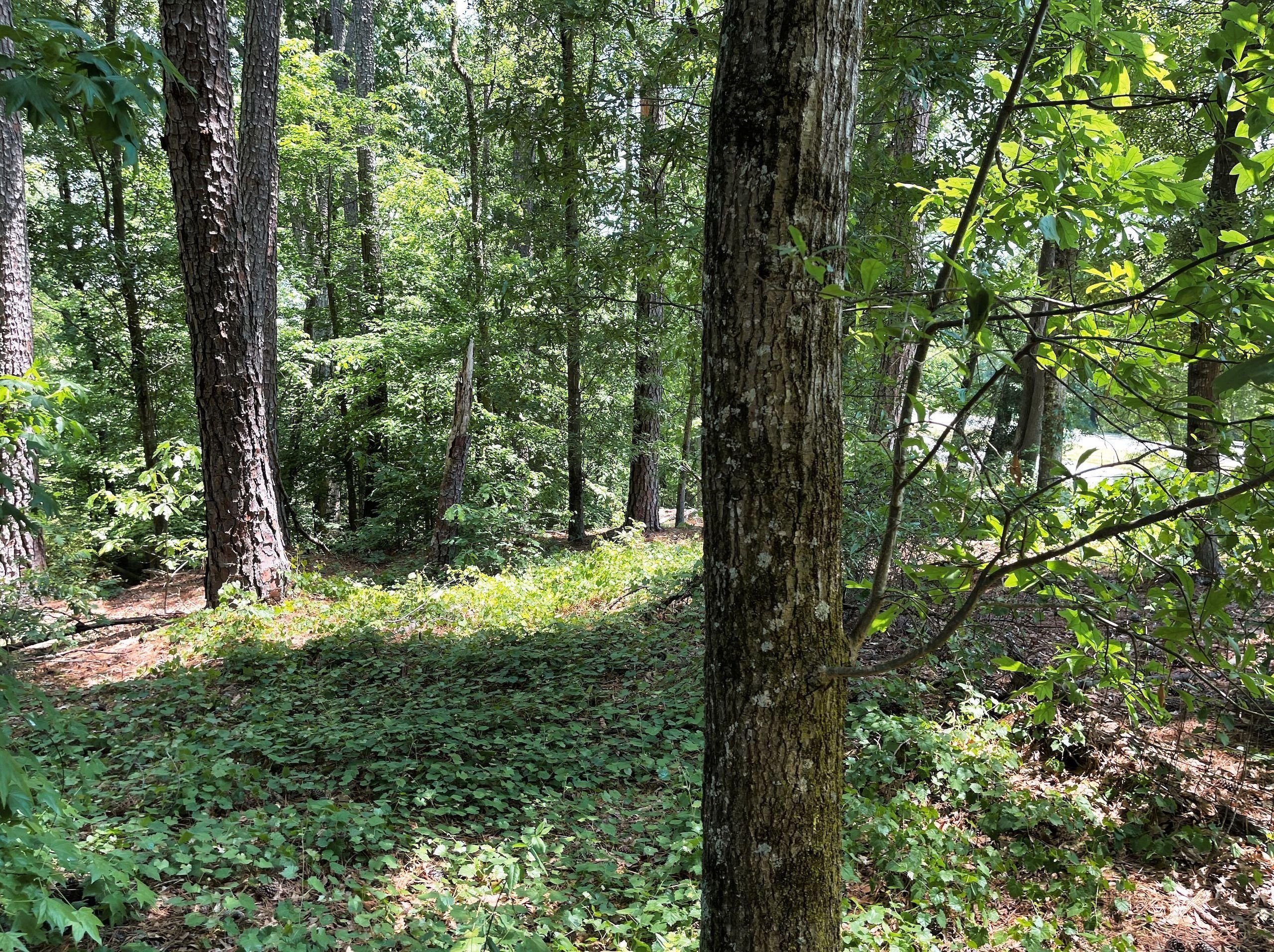Fair Play, Oconee County, SC Recreational Property, Undeveloped Land