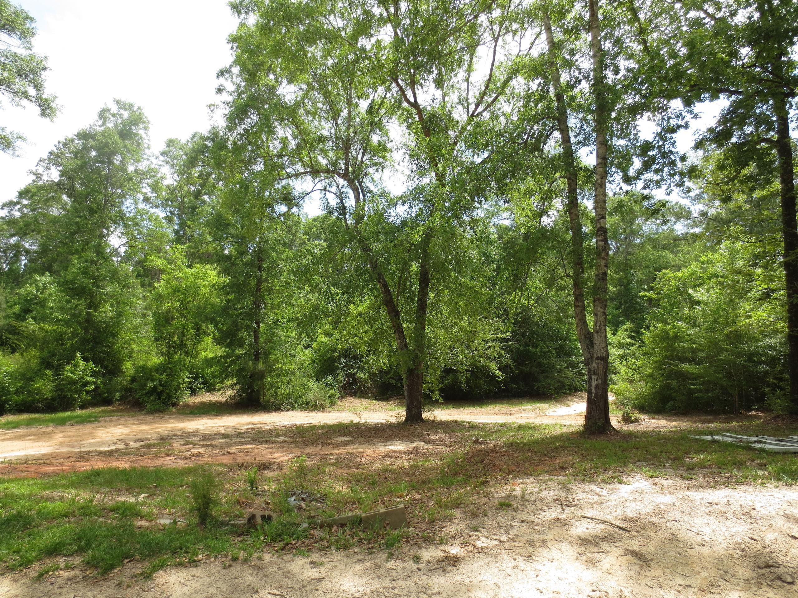 Lumberton, Pearl River County, MS Recreational Property, Timberland