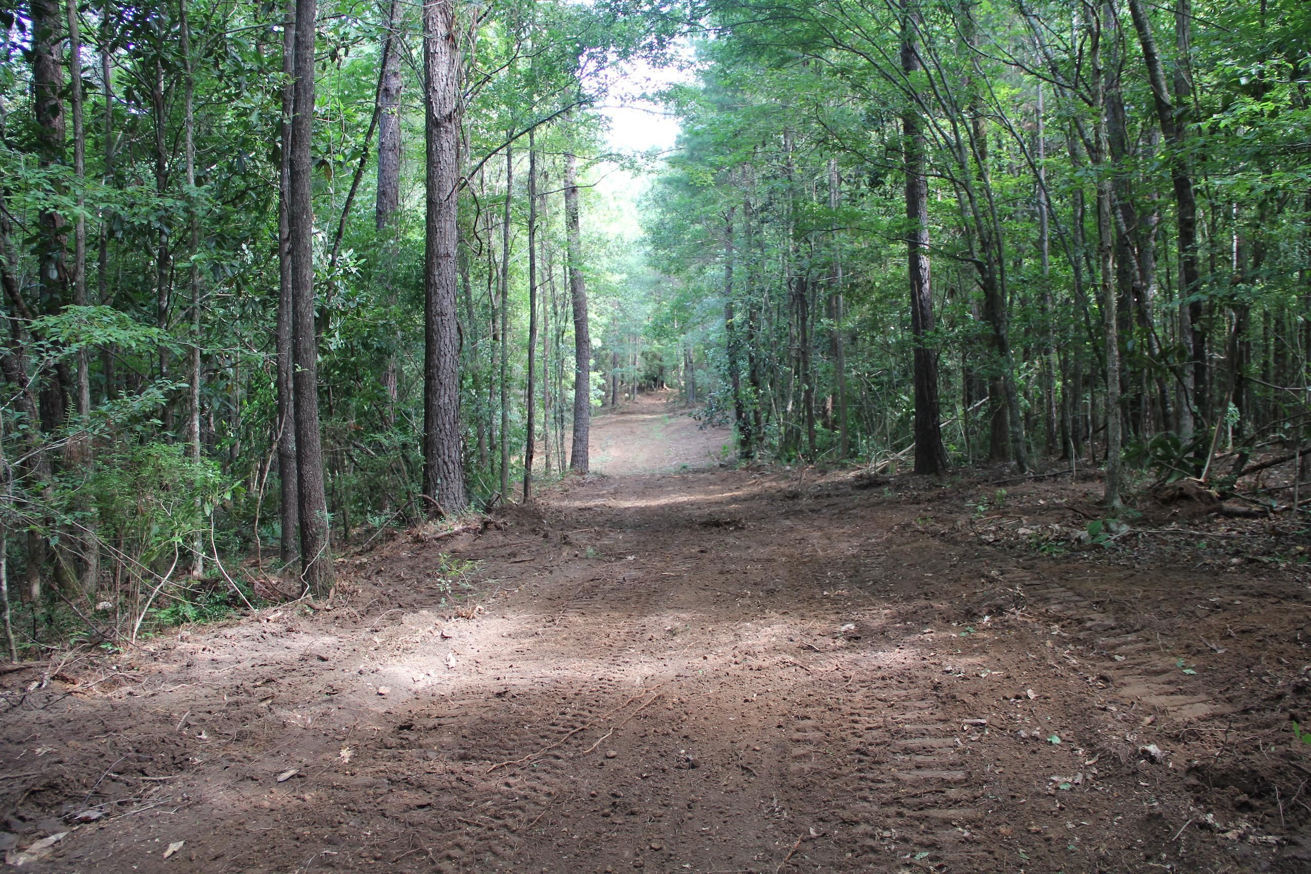 Ruth, Pike County, MS Recreational Property, Timberland Property