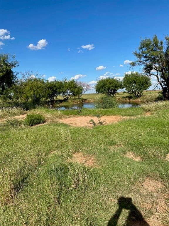 McCaulley, Fisher County, TX Undeveloped Land for sale Property ID