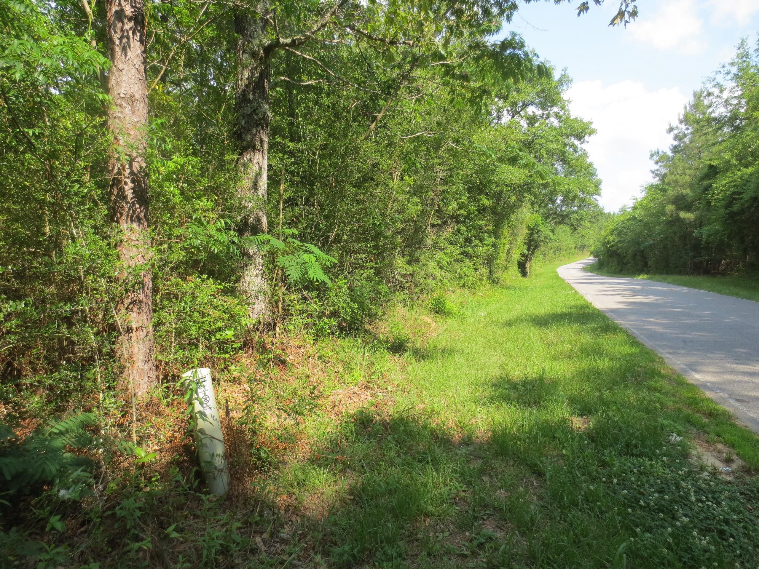 Columbia, Marion County, MS Recreational Property, Timberland Property