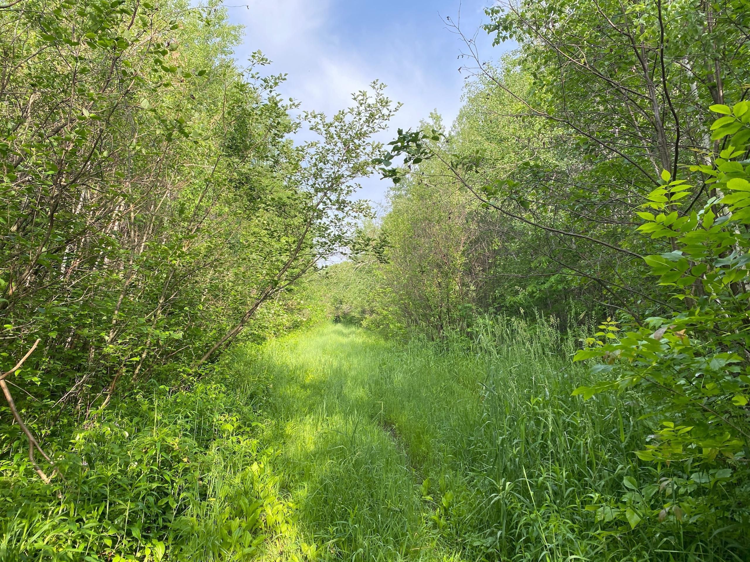 Onamia, Mille Lacs County, MN Recreational Property, Hunting Property
