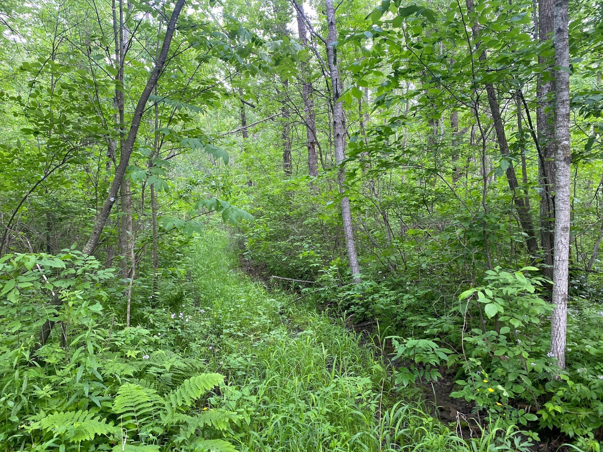 Onamia, Mille Lacs County, MN Recreational Property, Hunting Property