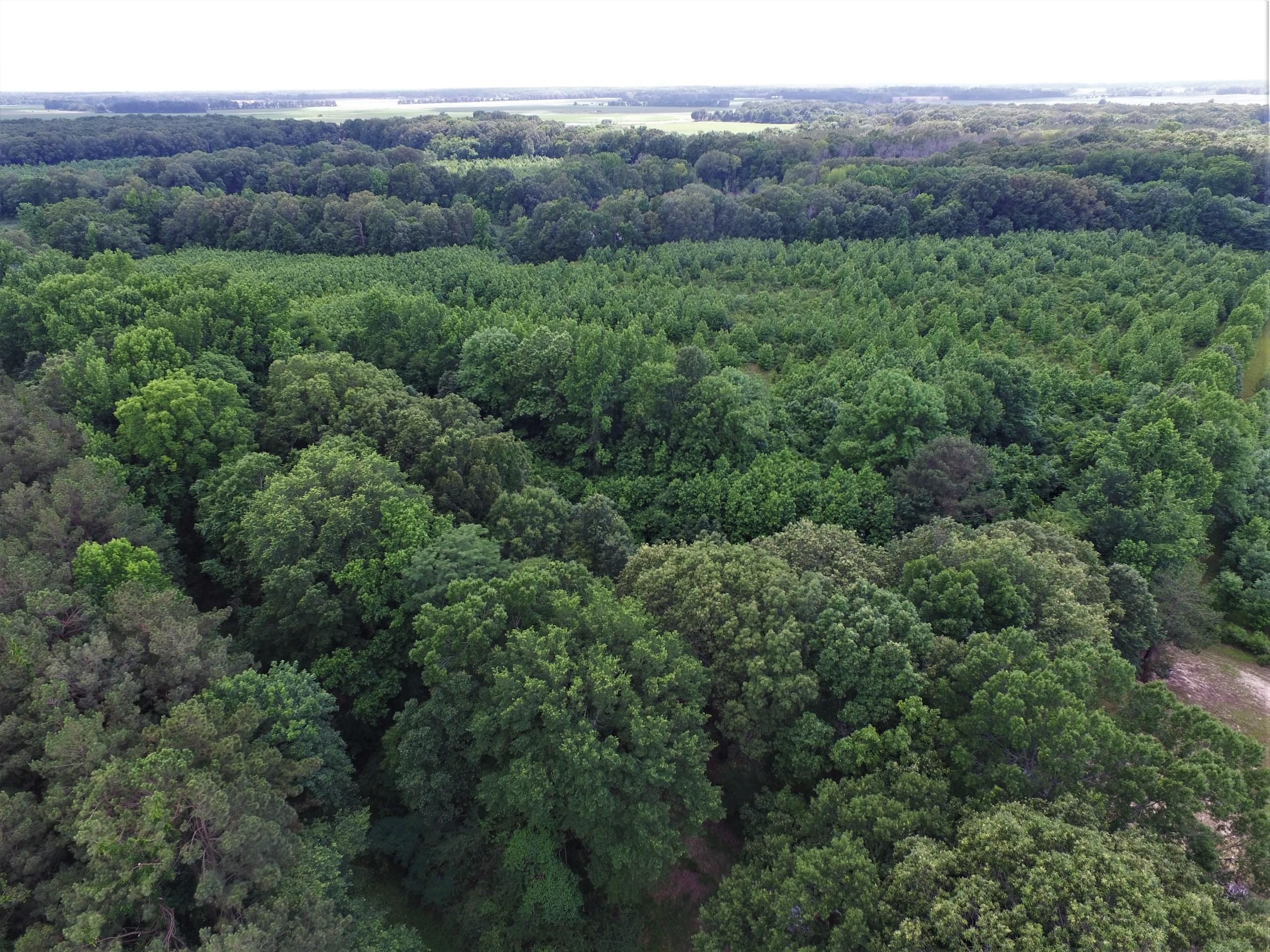 Ethel, Arkansas County, AR Farms and Ranches, Hunting Property for sale