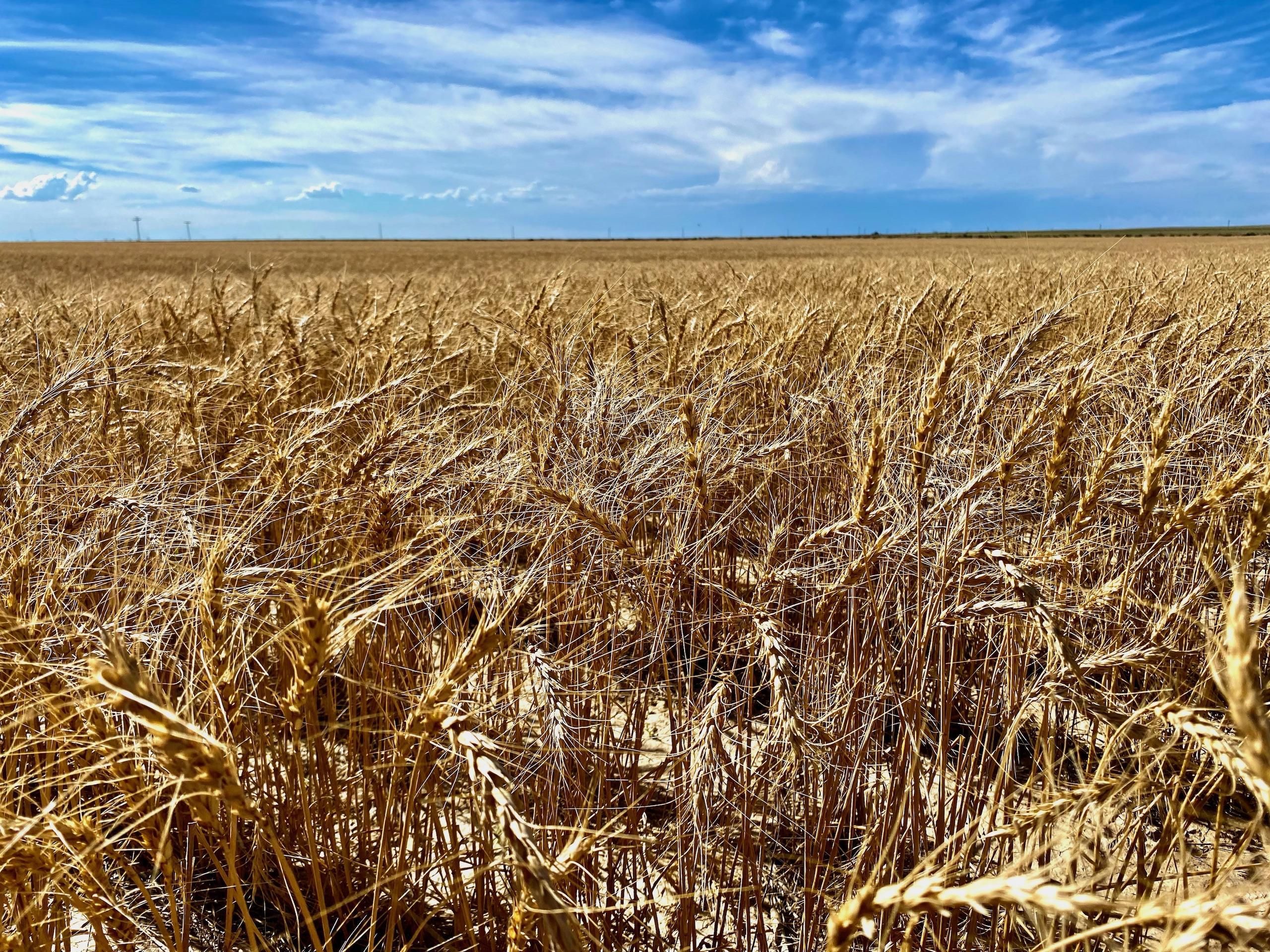 Lamar, Prowers County, CO Farms and Ranches, Recreational Property