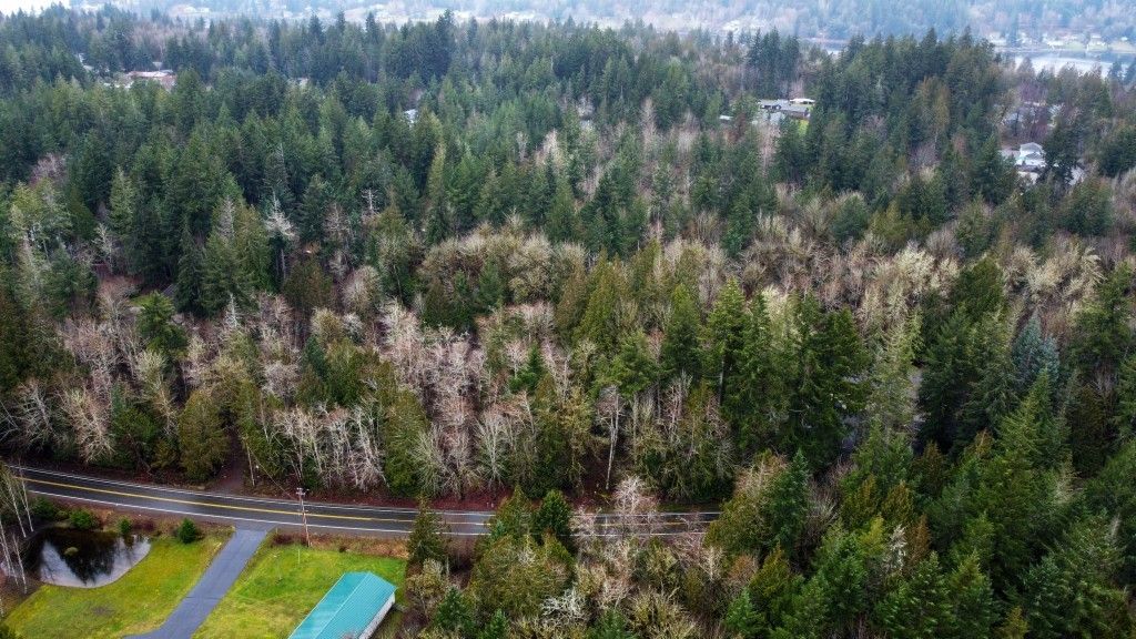 Shelton, Mason County, WA Undeveloped Land, Homesites for sale Property ID 415647852 LandWatch