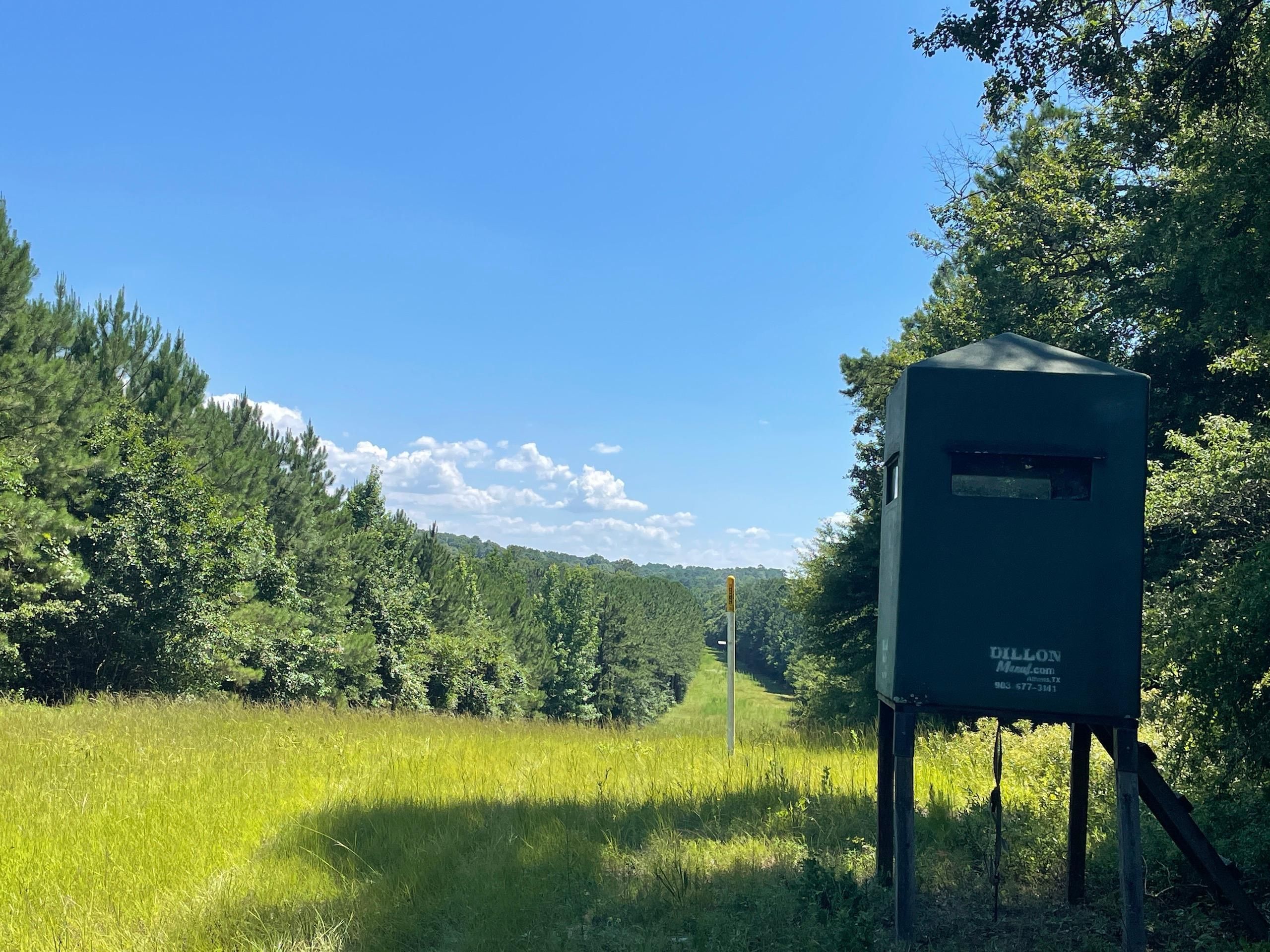 Bernice, Union Parish, LA Recreational Property, Timberland Property