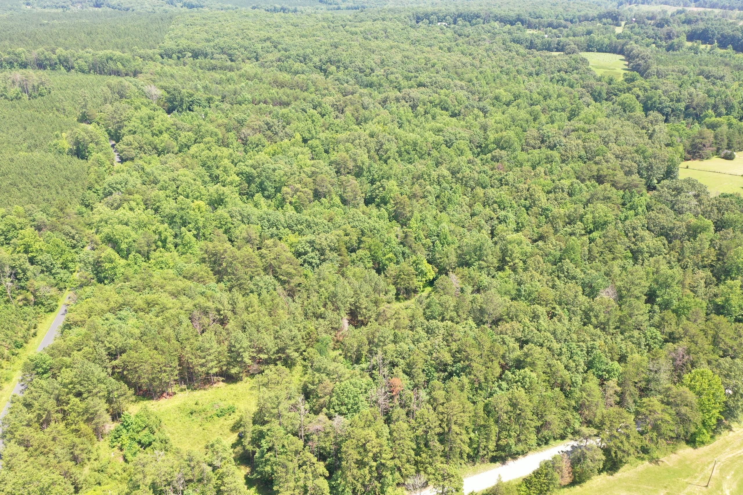 Dillwyn, Buckingham County, VA Recreational Property, Timberland