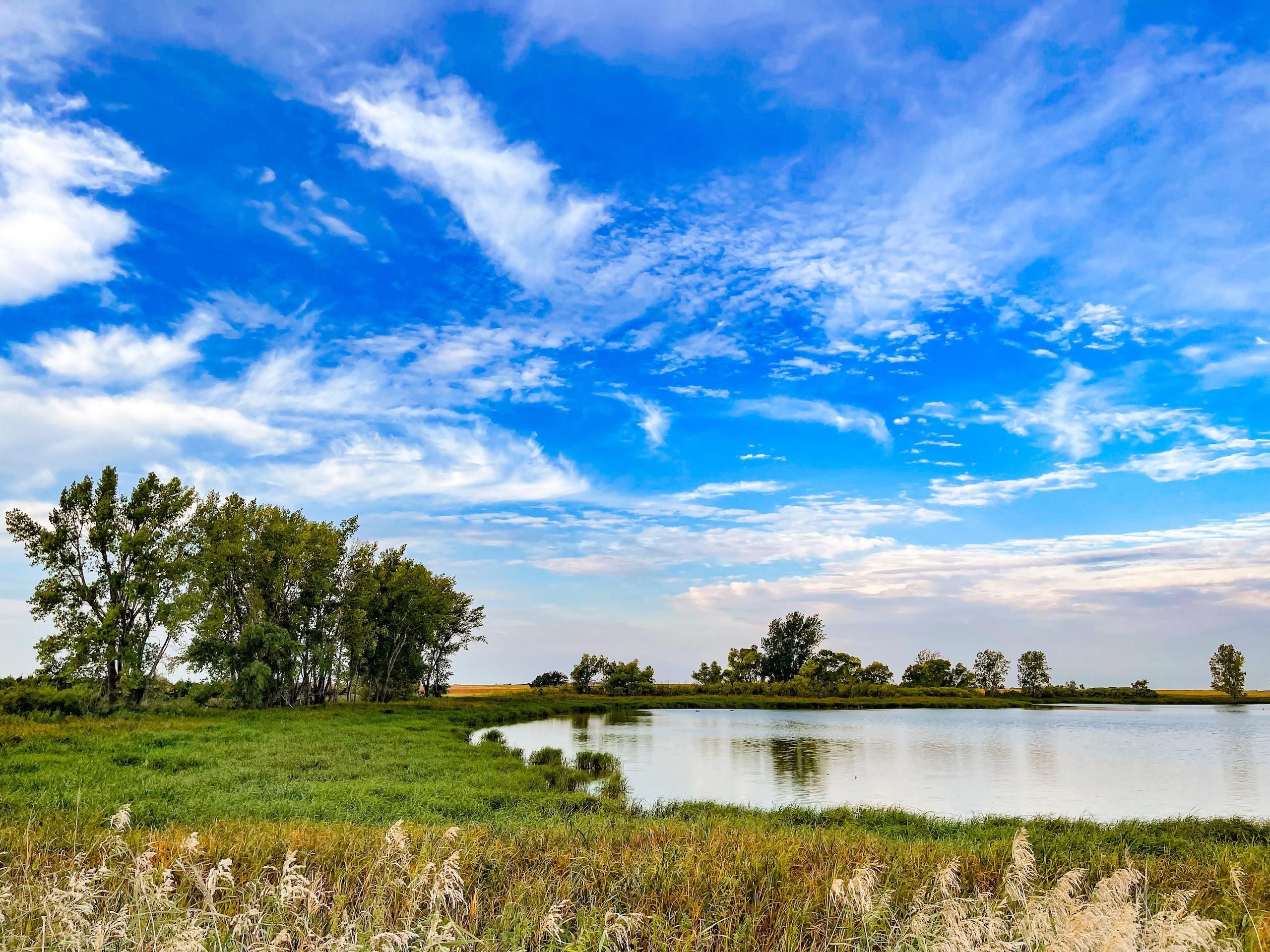 Colman, Moody County, SD Recreational Property, Hunting Property for