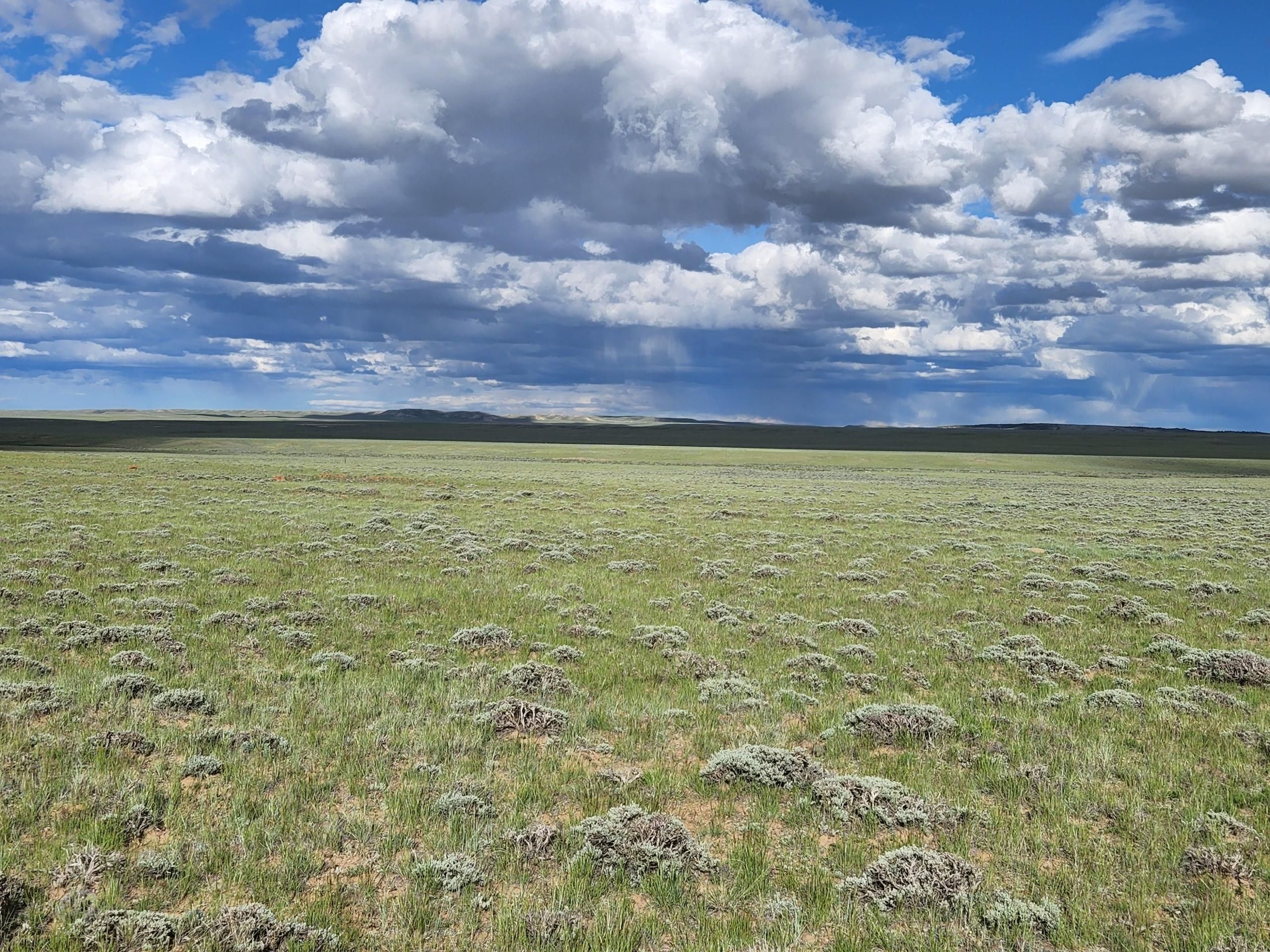 Medicine Bow, Albany County, WY Farms and Ranches, Recreational