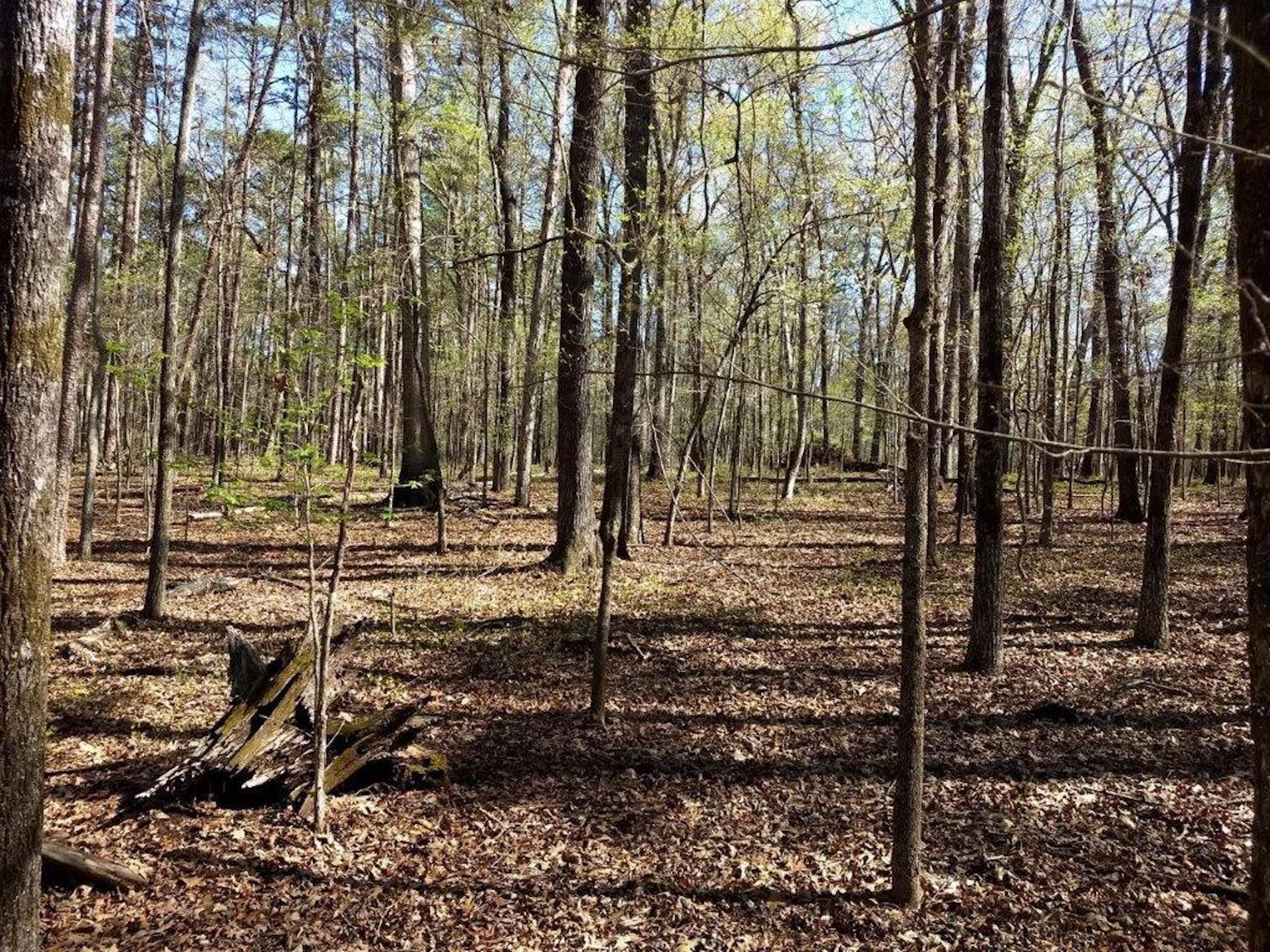 Eatonton, Putnam County, GA Recreational Property, Timberland Property