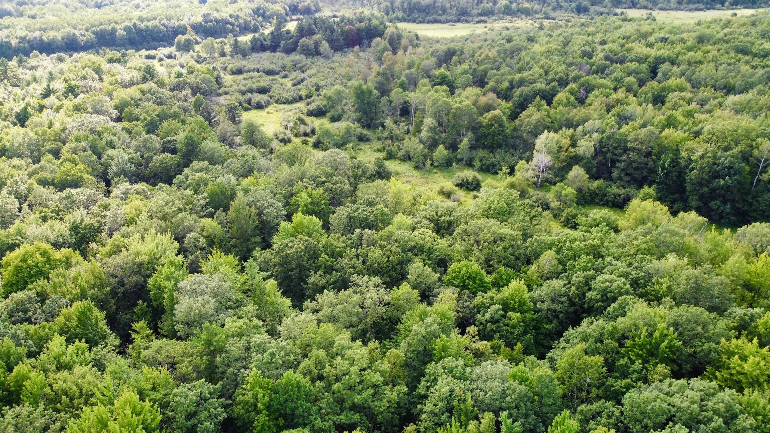 Pittsville, Wood County, WI Recreational Property, Hunting Property for