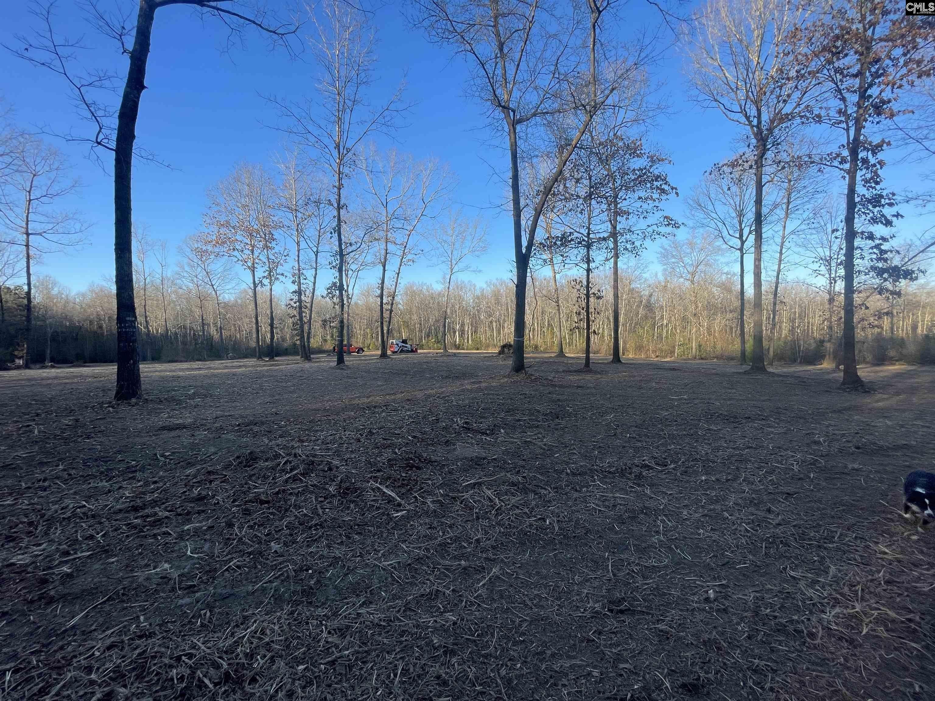 Lugoff, Kershaw County, SC Undeveloped Land for sale Property ID