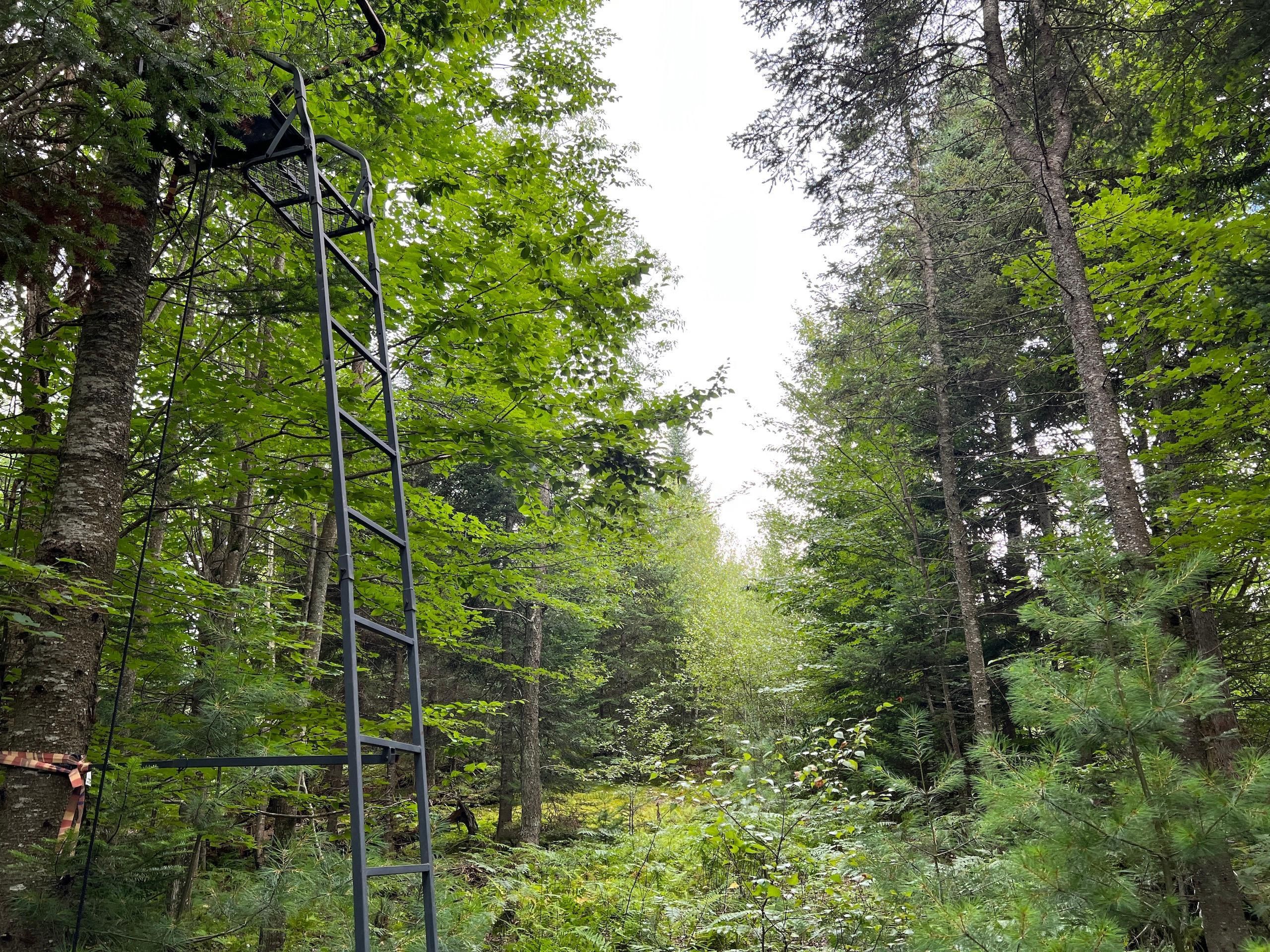 Hopkinton, Saint Lawrence County, NY Recreational Property, Timberland