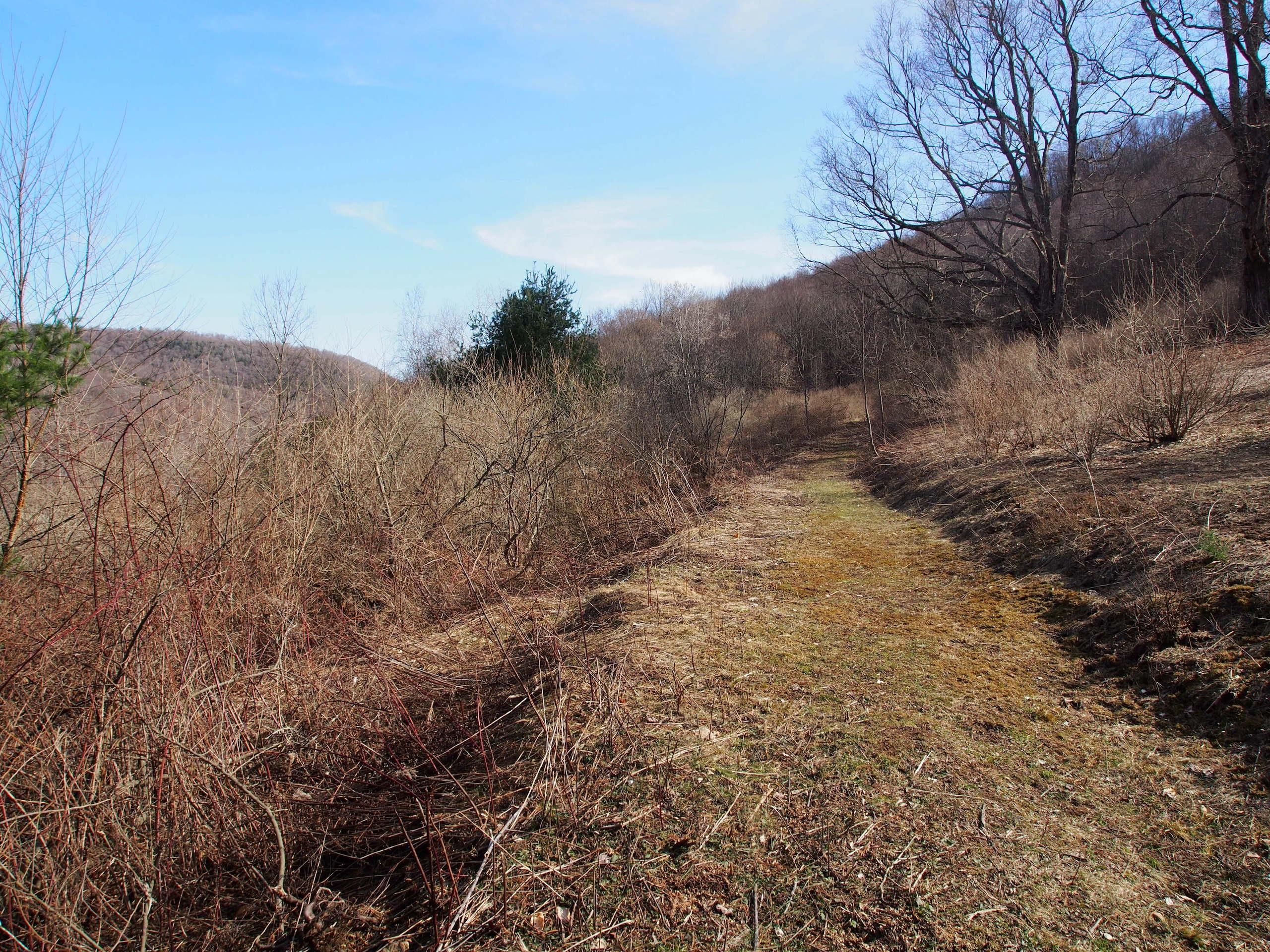 Walton, Delaware County, NY Recreational Property, Timberland Property