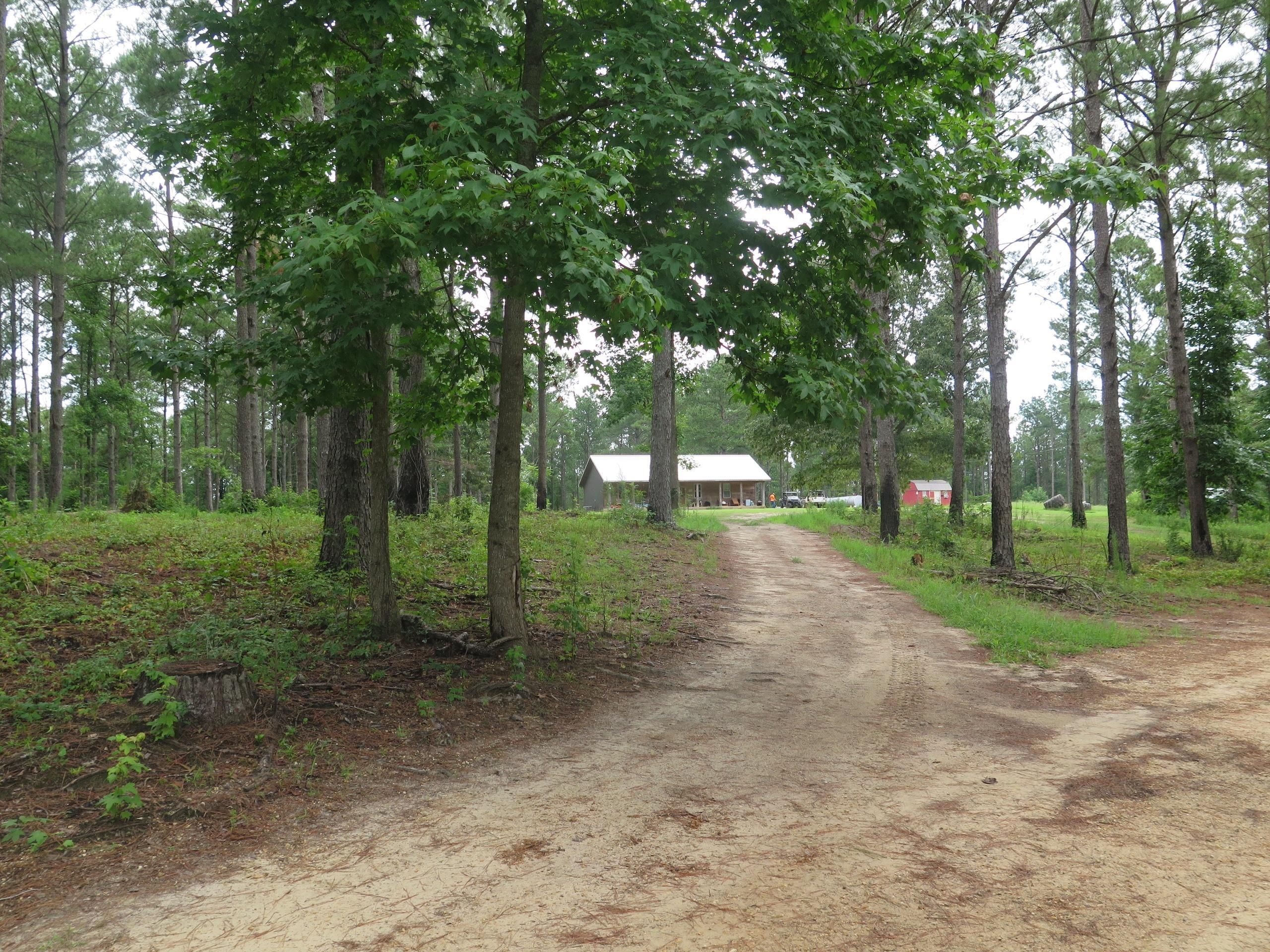 Heidelberg, Wayne County, MS Recreational Property, Timberland Property