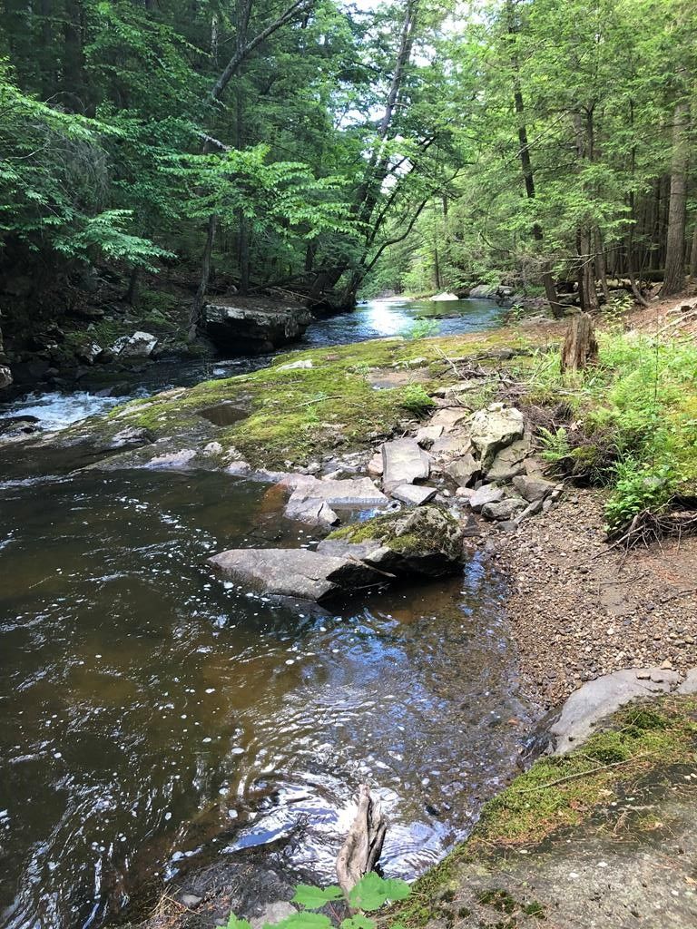 Hague, Warren County, NY Farms and Ranches, Lakefront Property