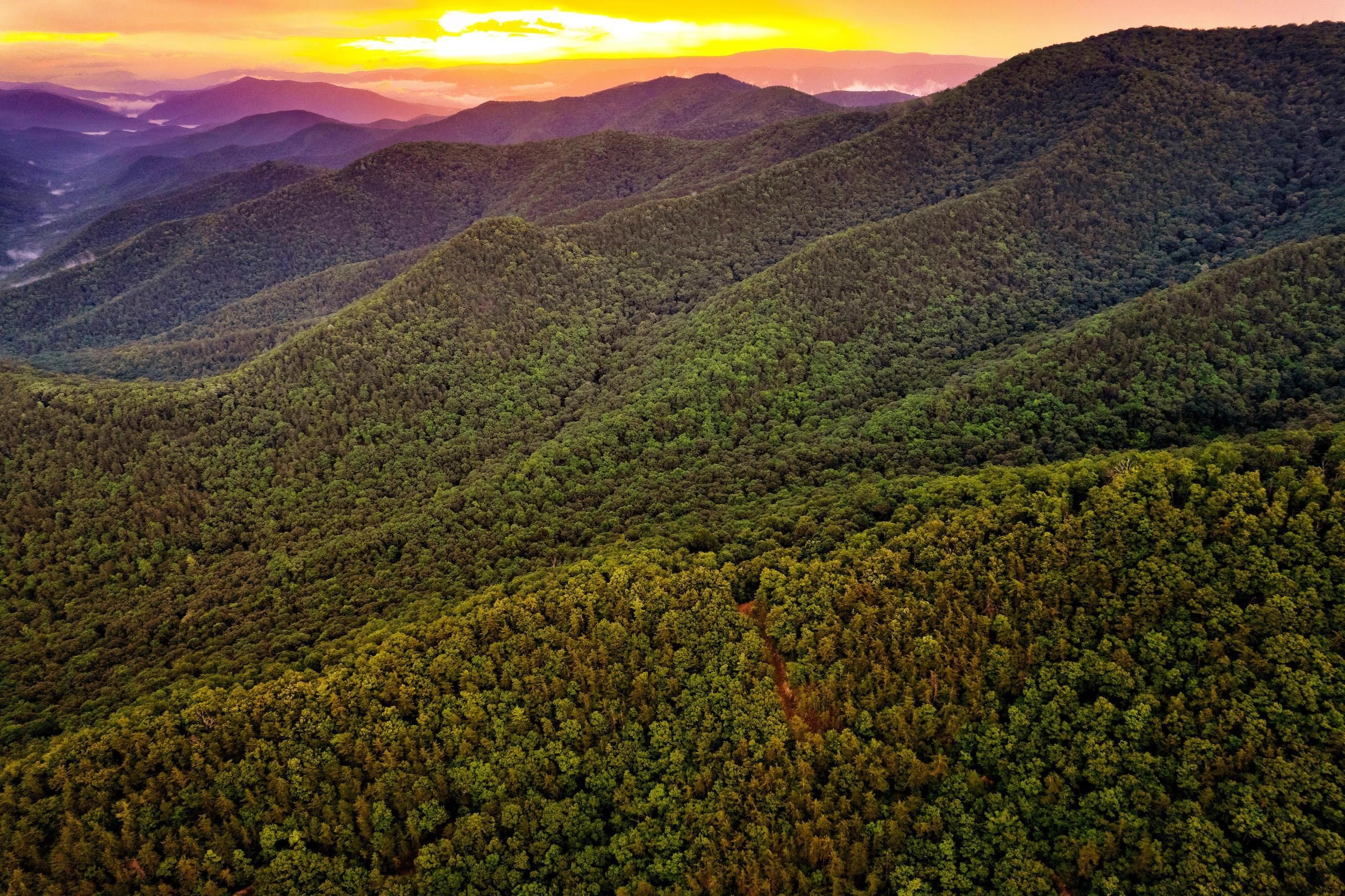 Covington, Alleghany County, VA Recreational Property, Timberland
