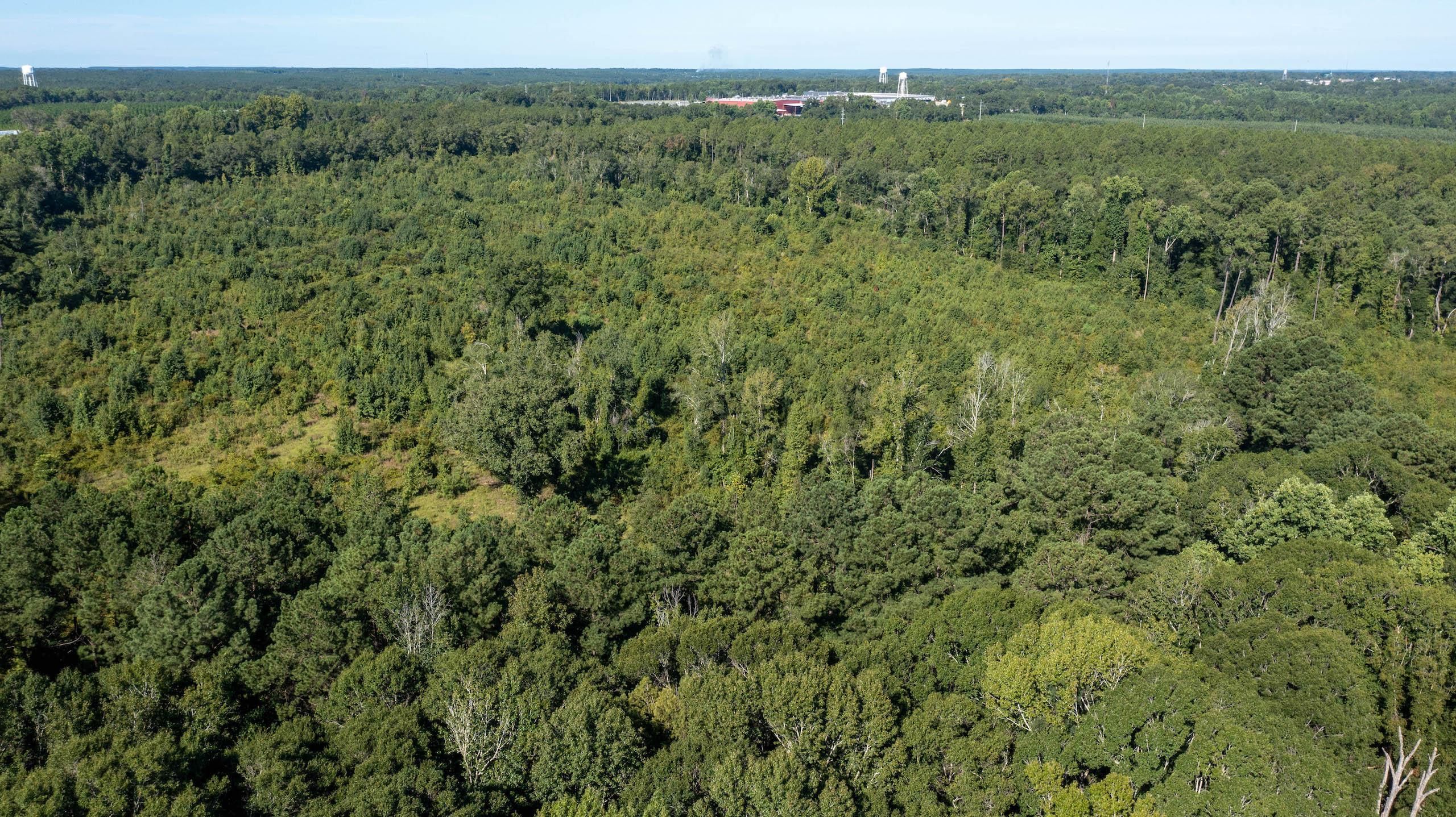 McRae, Telfair County, GA Recreational Property, Timberland Property