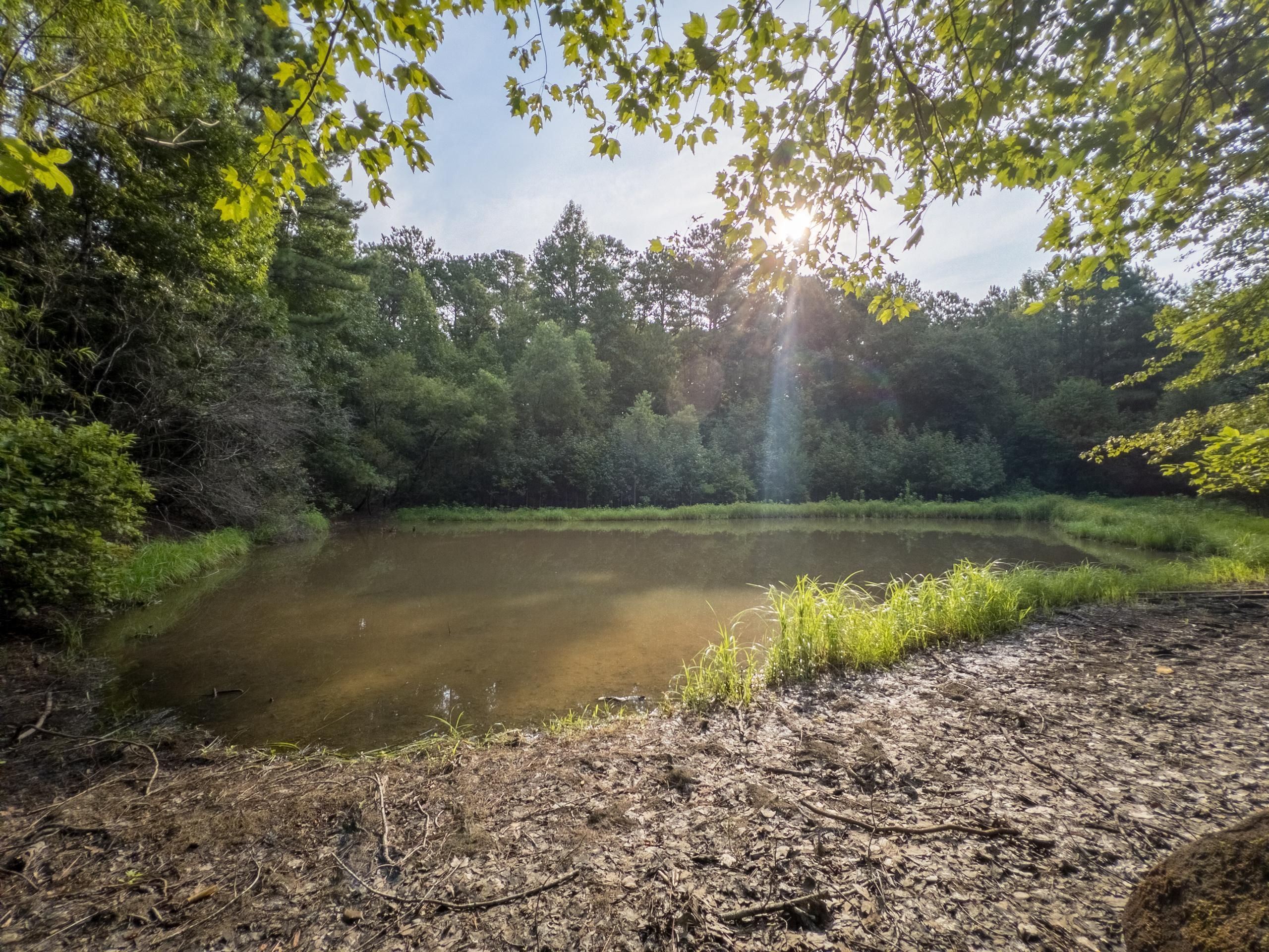 Gray, Jones County, GA Recreational Property, Timberland Property