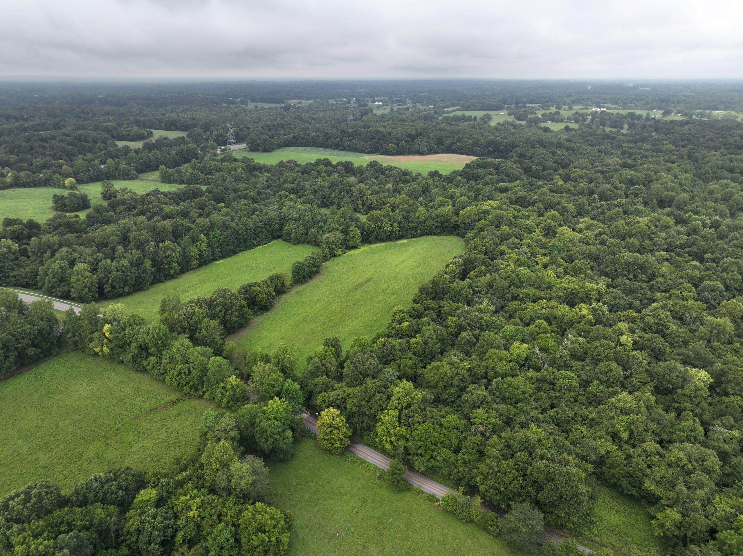 Calvert City, Marshall County, KY Recreational Property, Timberland Property, Hunting Property