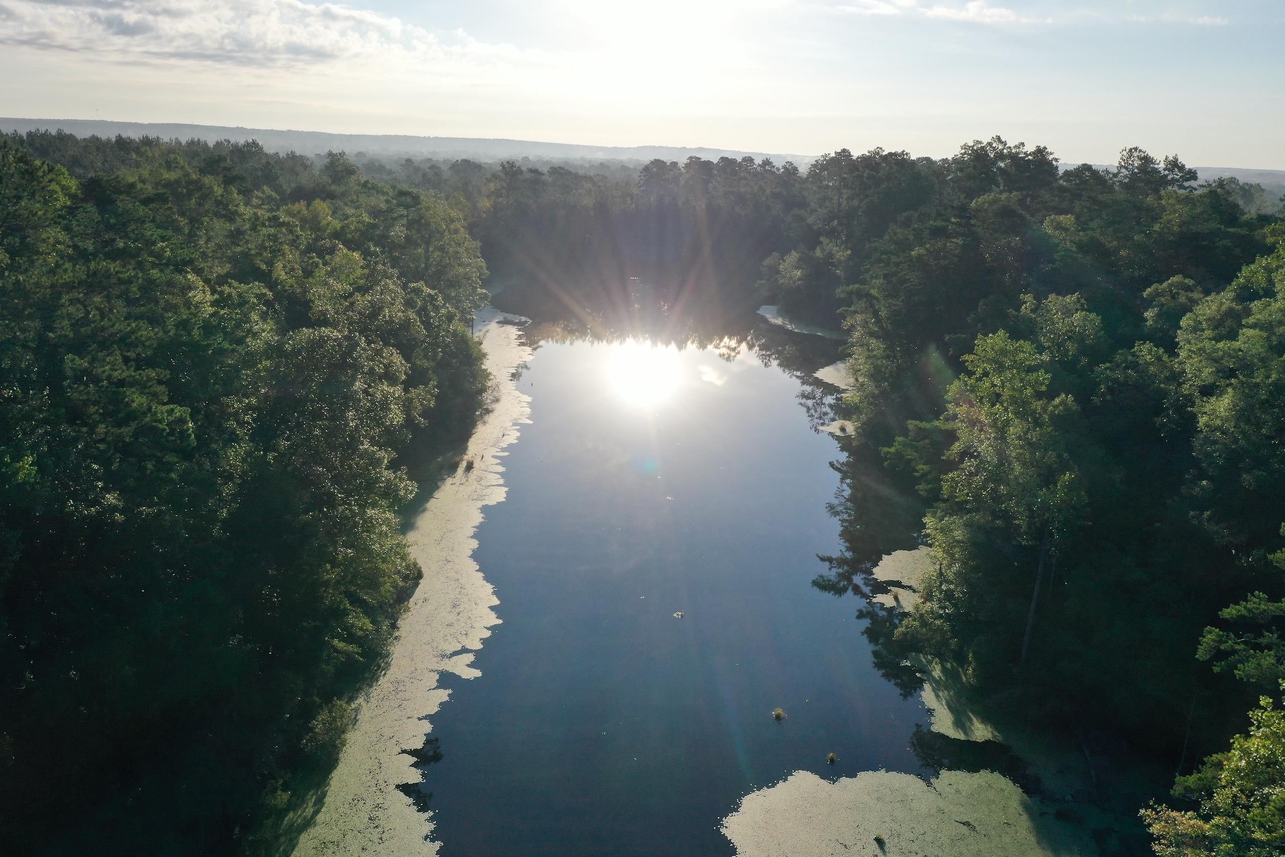 Pike County, MS Recreational Property, Timberland Property, Hunting Property for sale