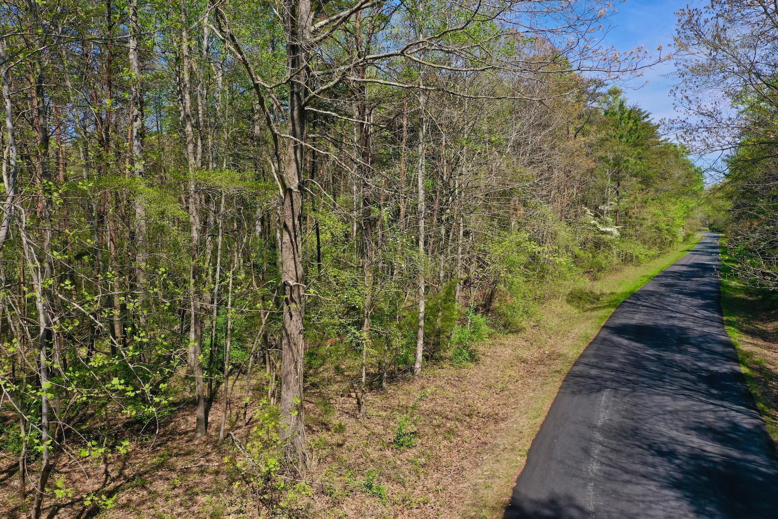 New Canton, Buckingham County, VA Recreational Property, Timberland