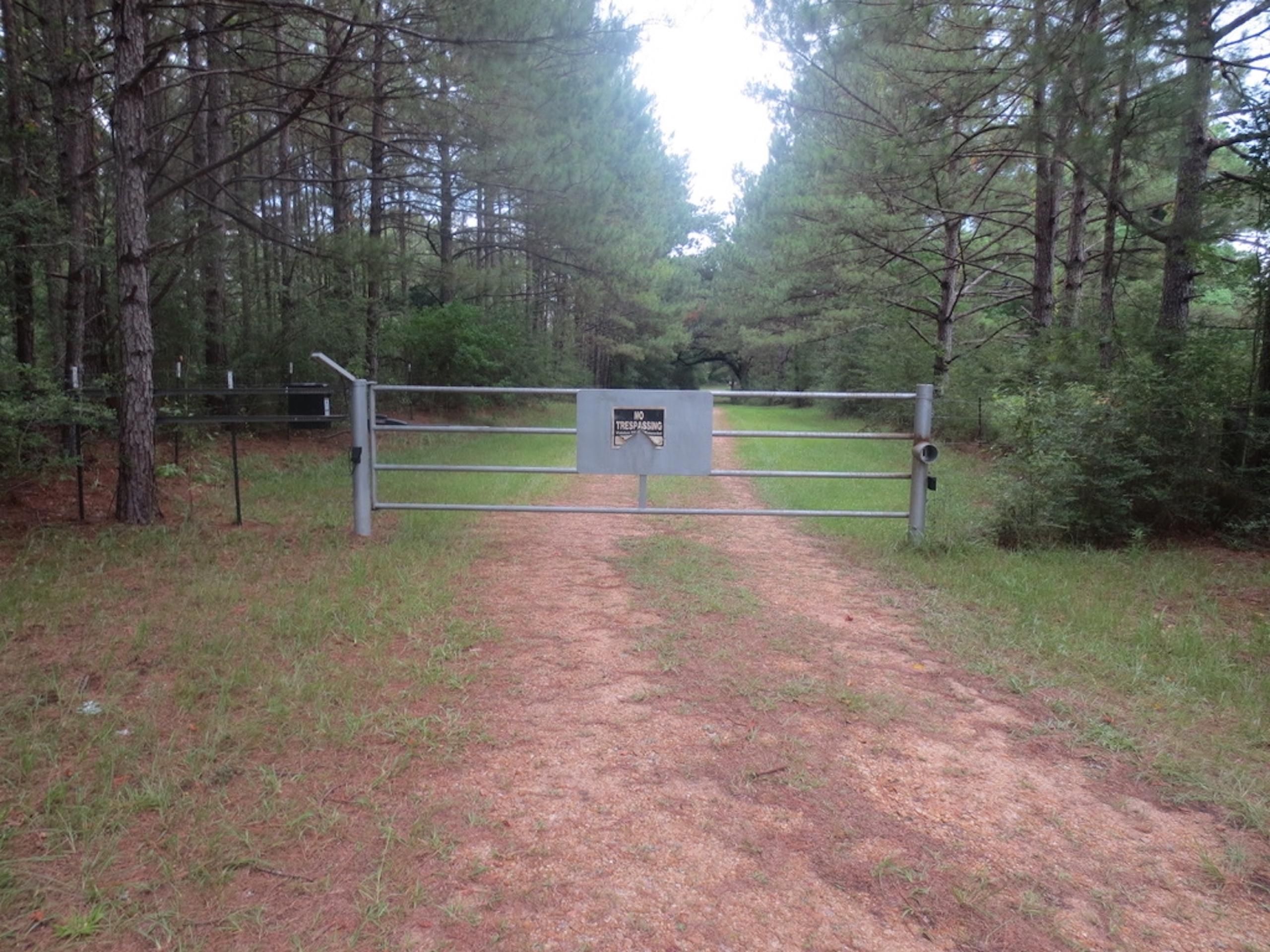 Sandy Hook, Marion County, MS Recreational Property, Timberland