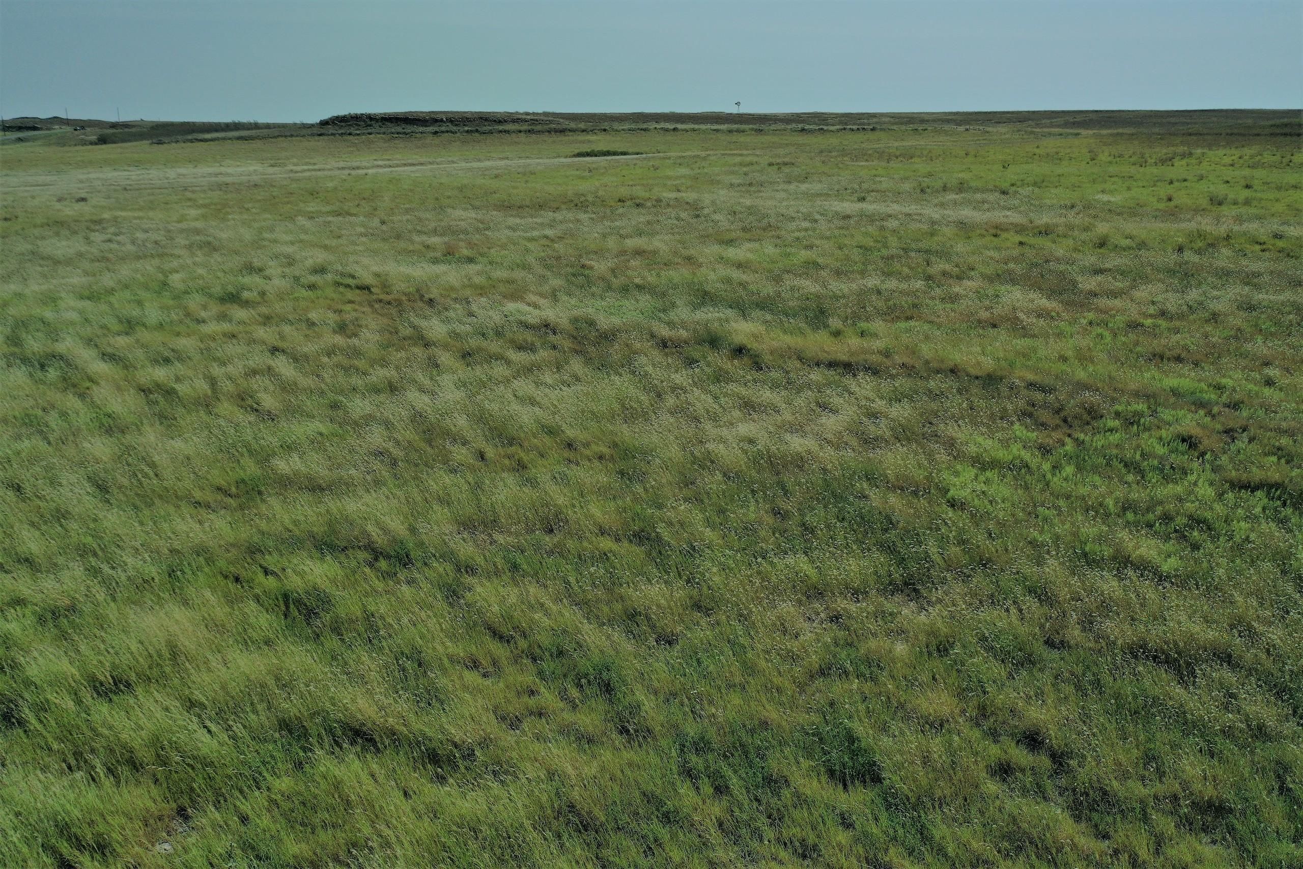 Ellis County, OK Farms and Ranches, Hunting Property for sale