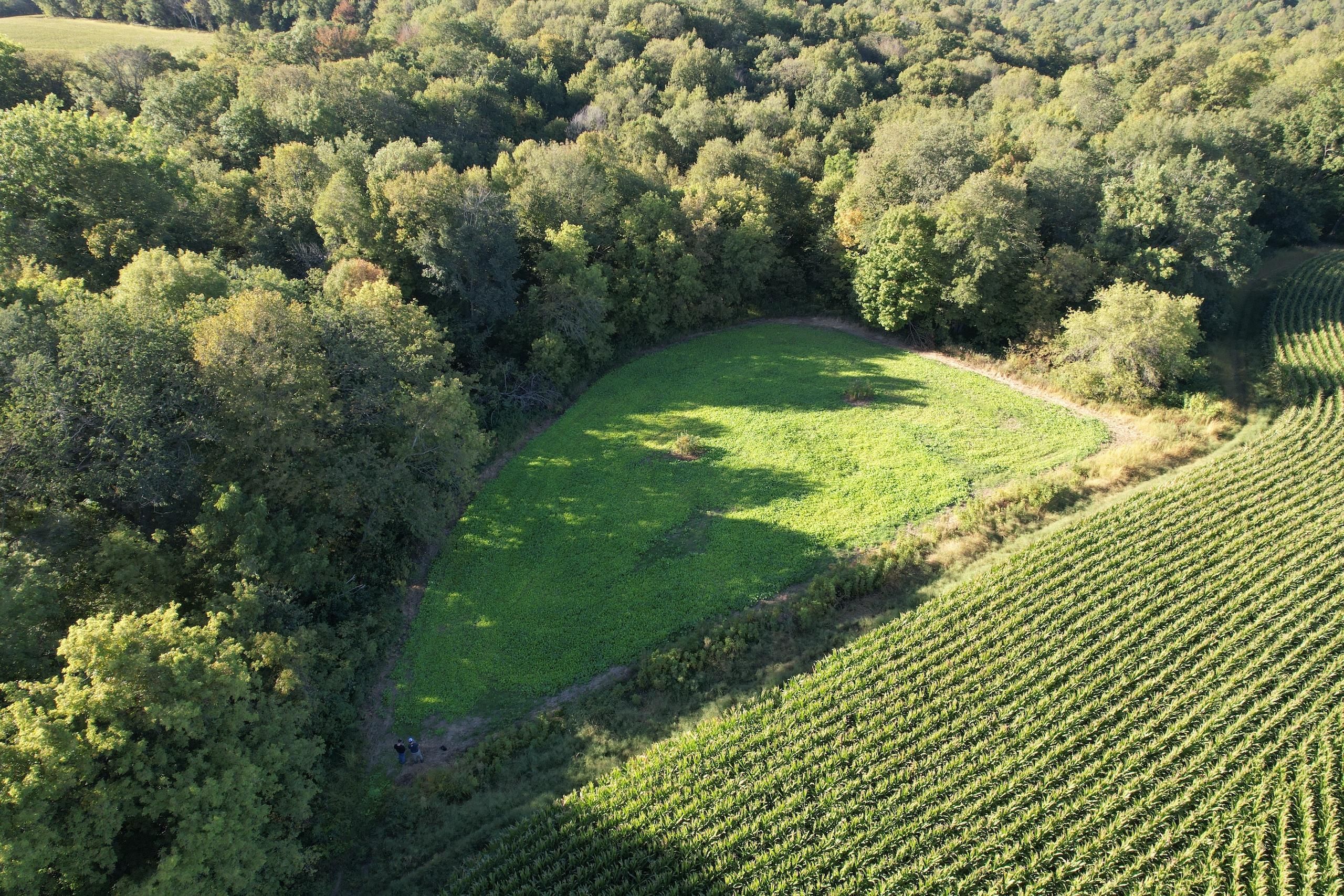 Strawberry Point, Clayton County, IA Recreational Property, Hunting