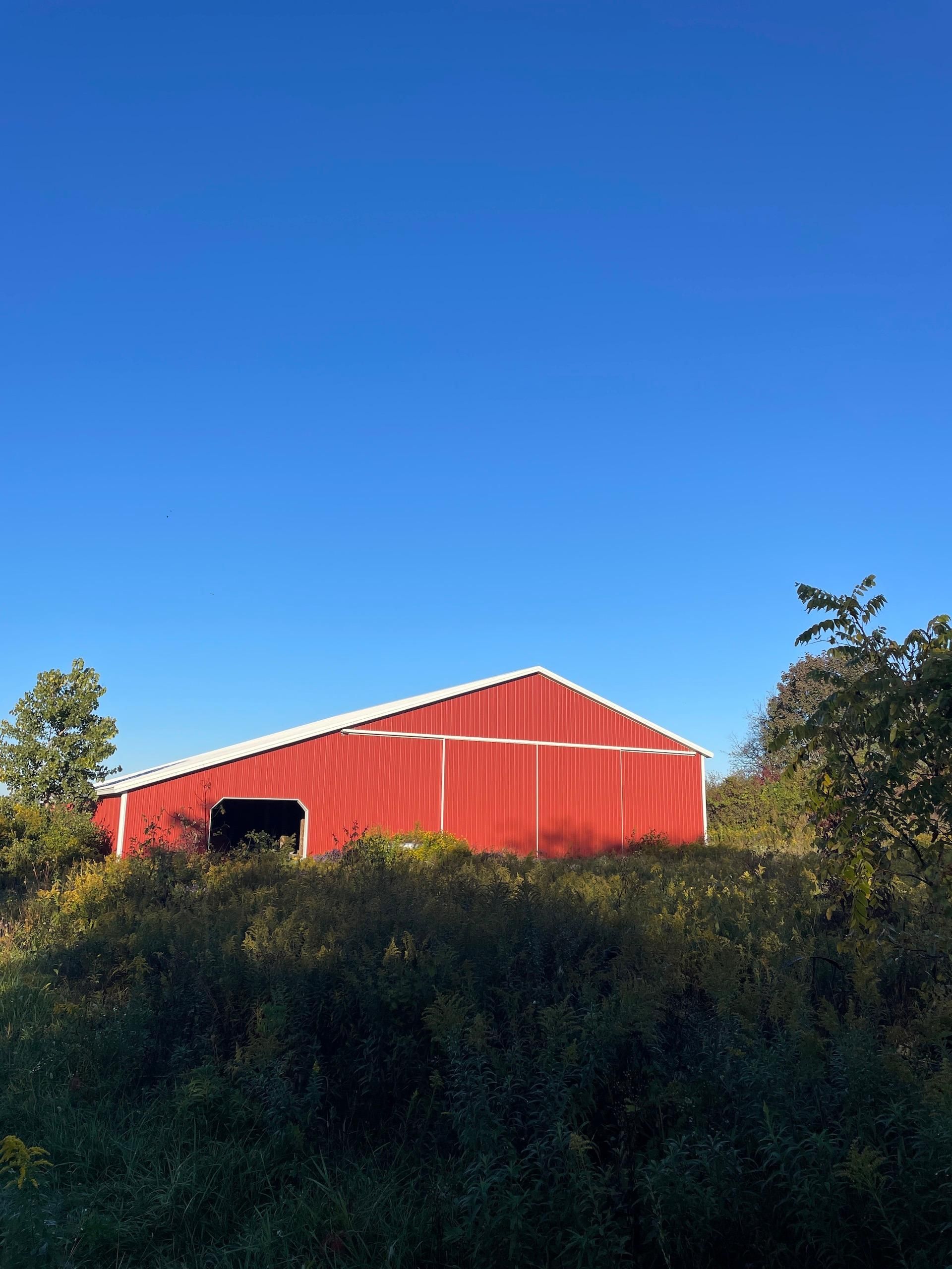 Lewistown, Logan County, OH Farms and Ranches, Recreational Property, Timberland Property for